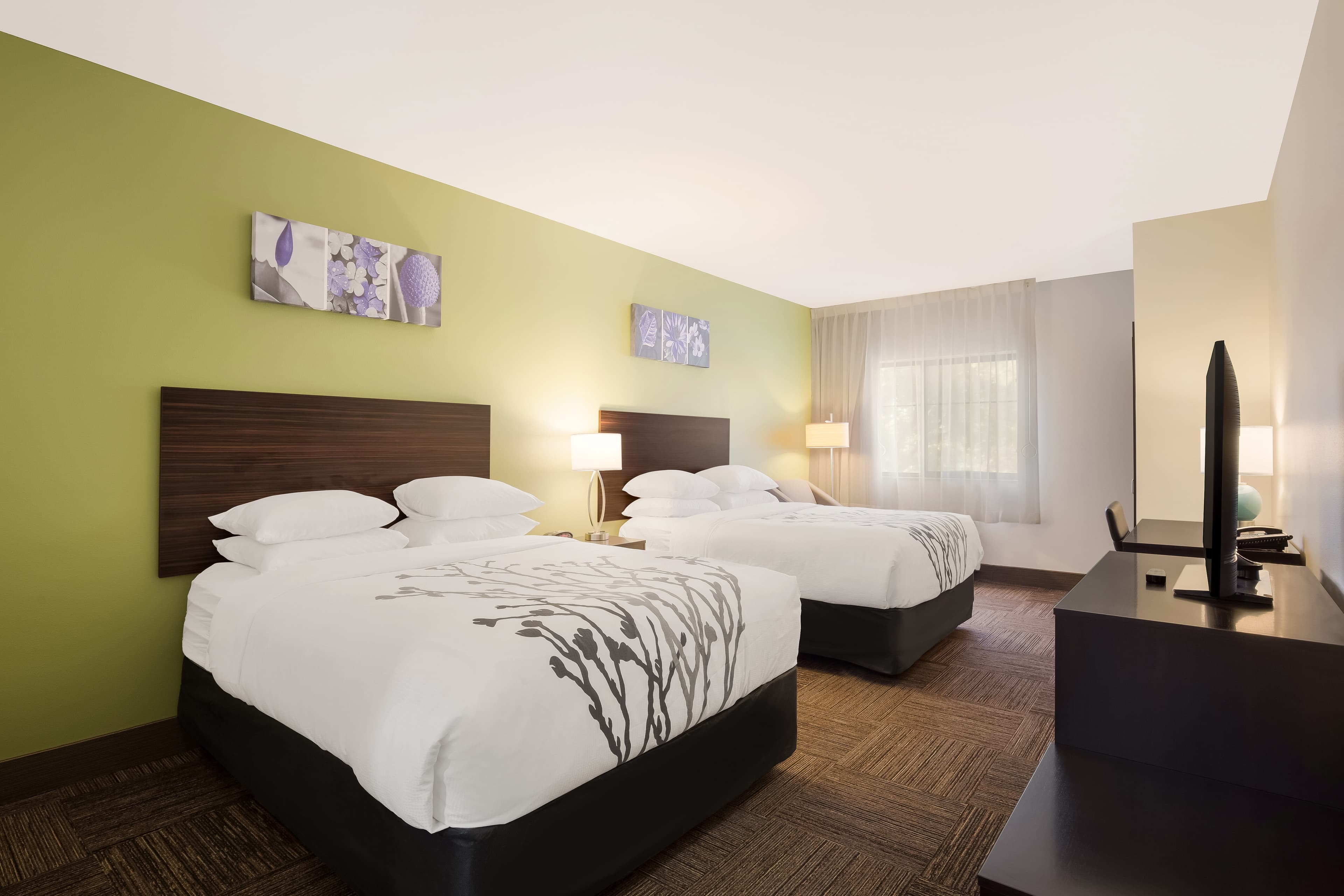 Sleep Inn & Suites North Mobile Saraland — 6