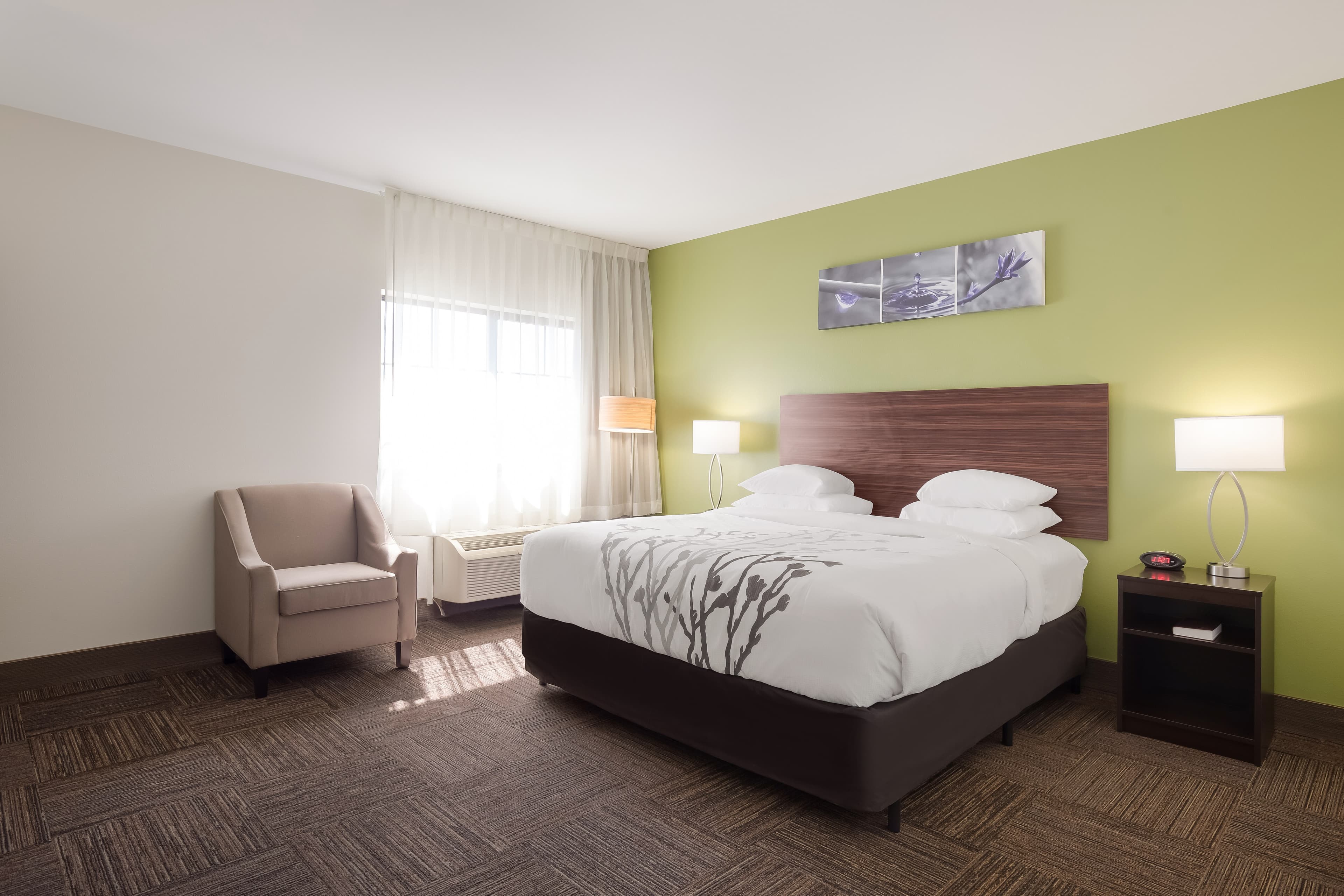 Sleep Inn & Suites North Mobile Saraland — 14
