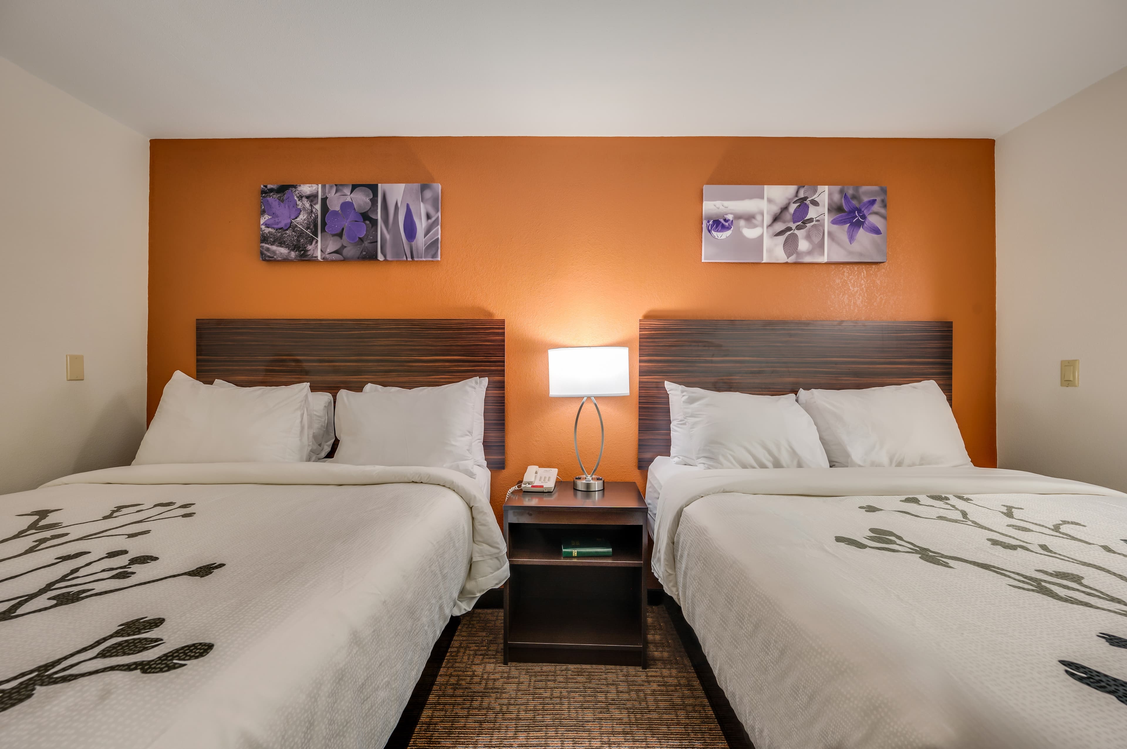 Sleep Inn & Suites Decatur West — 8