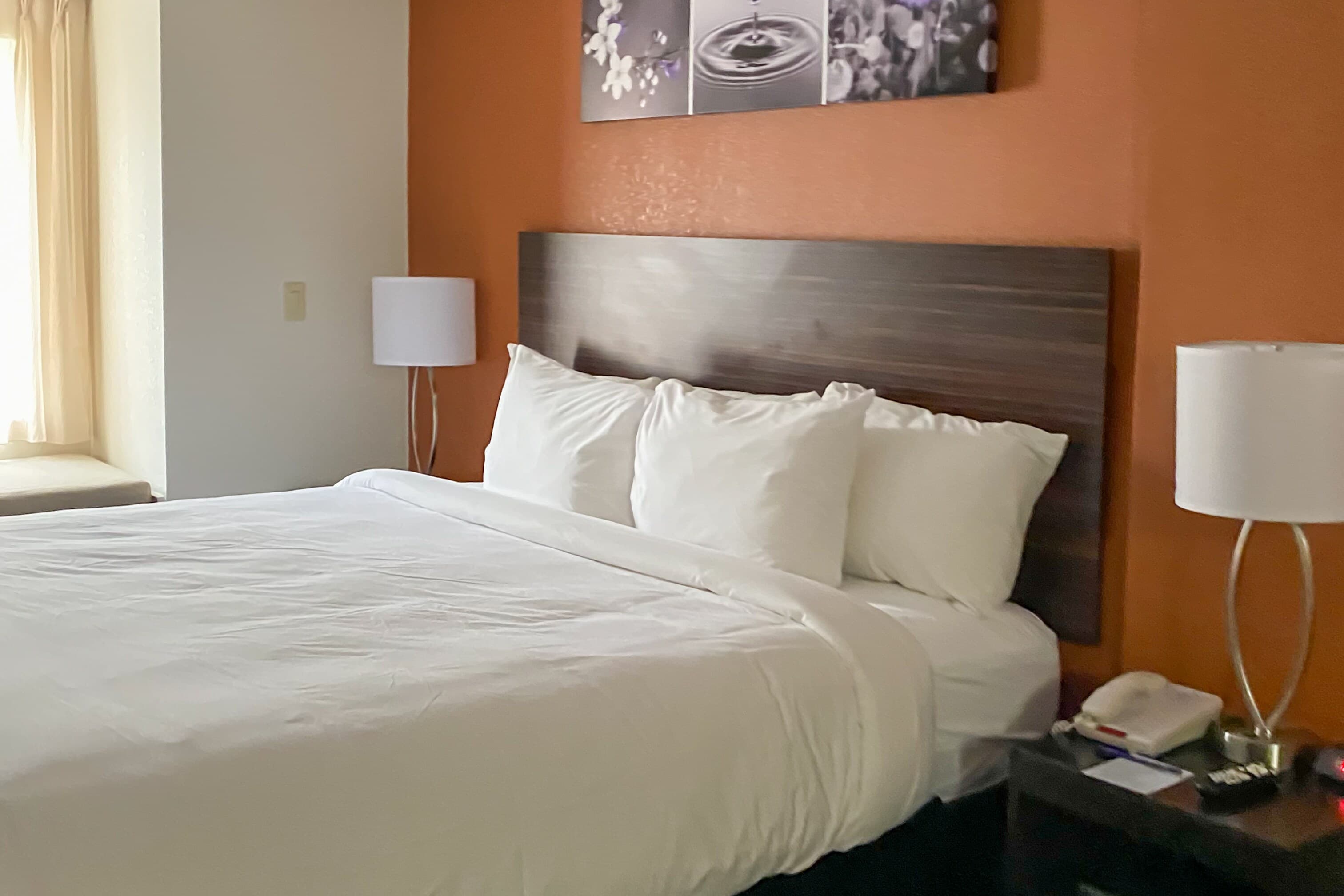 Sleep Inn & Suites Decatur West - Image 2