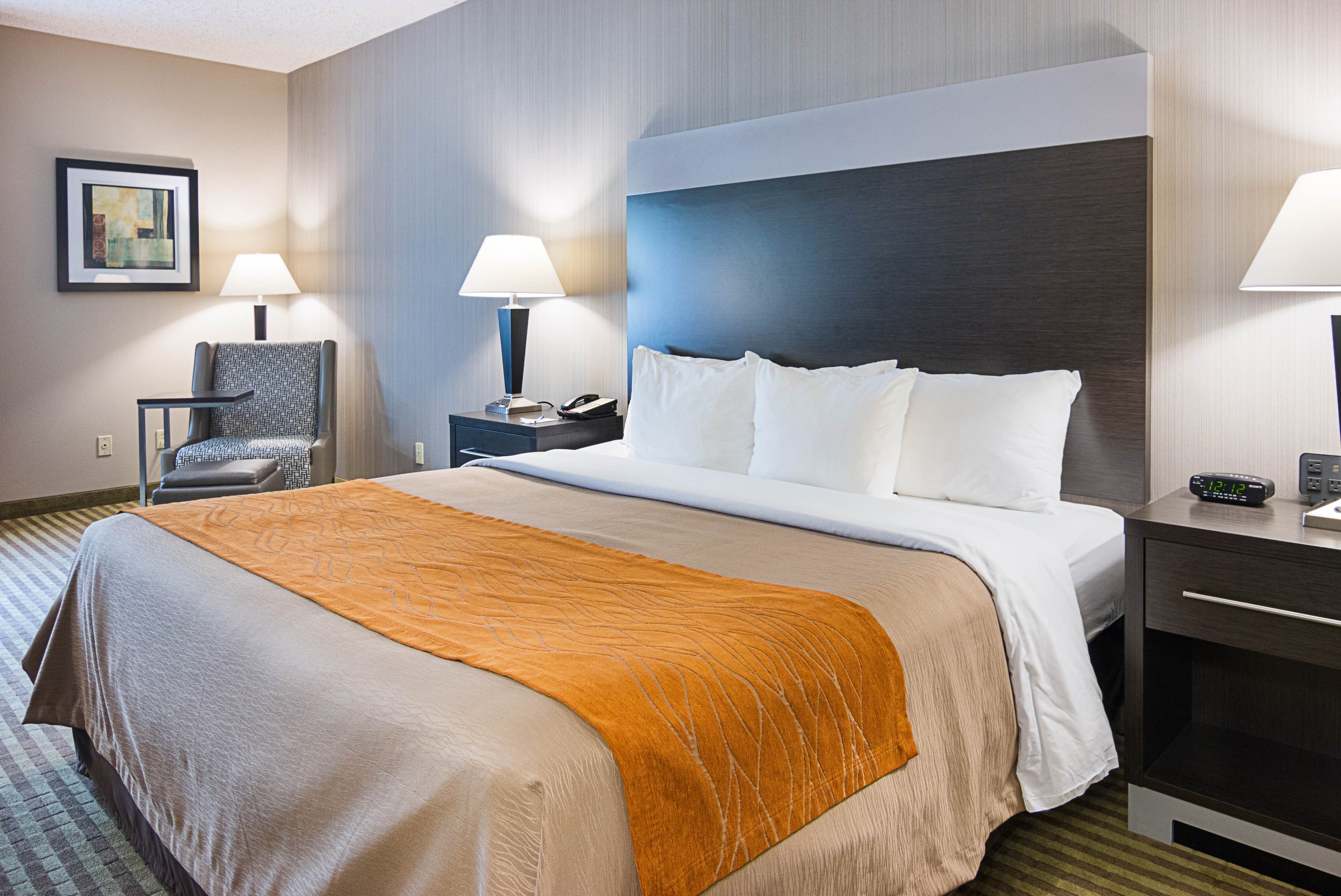 Comfort Inn Camden - Image 2