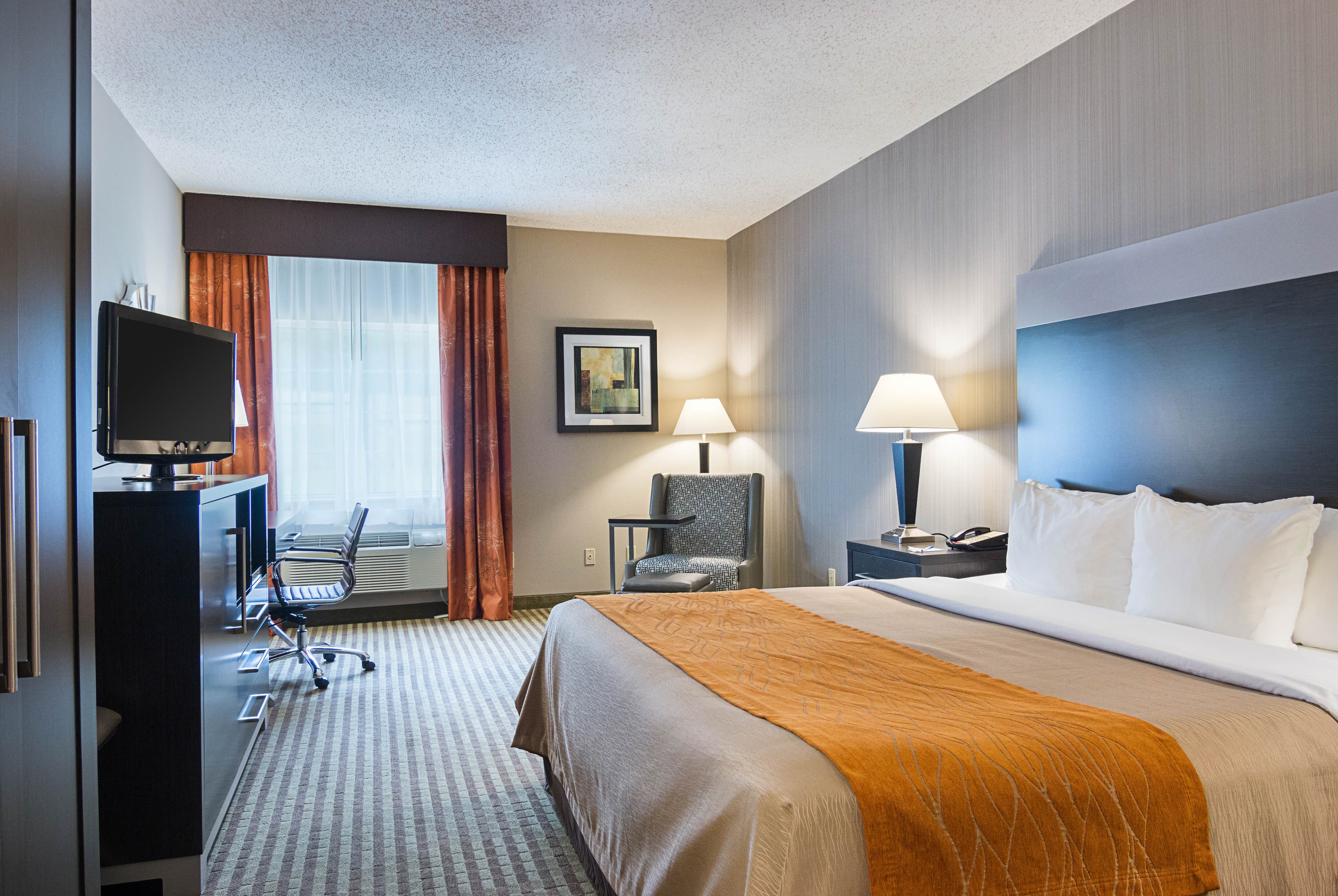 Comfort Inn Camden - Image 3