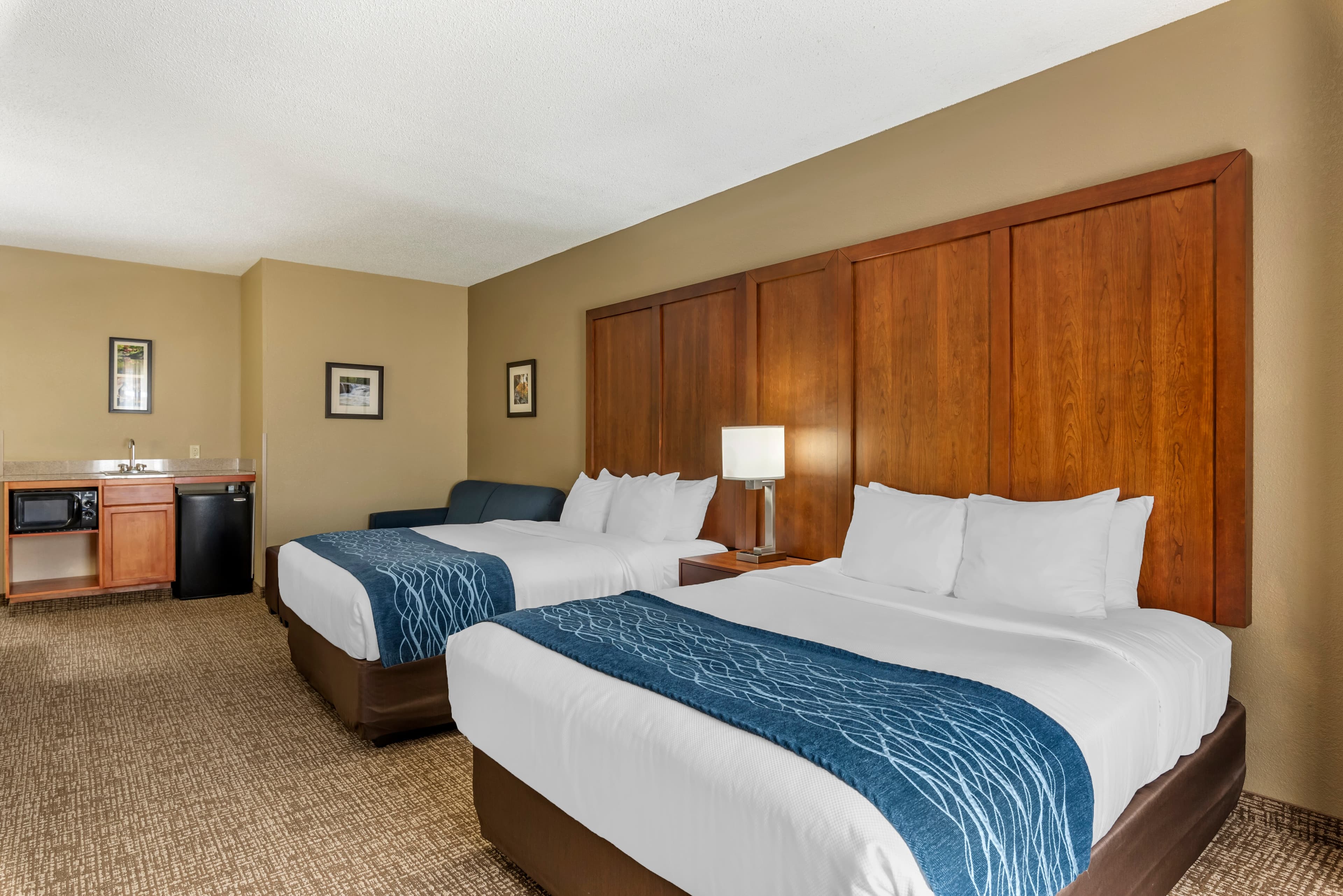 Comfort Inn & Suites El Dorado - Image 5