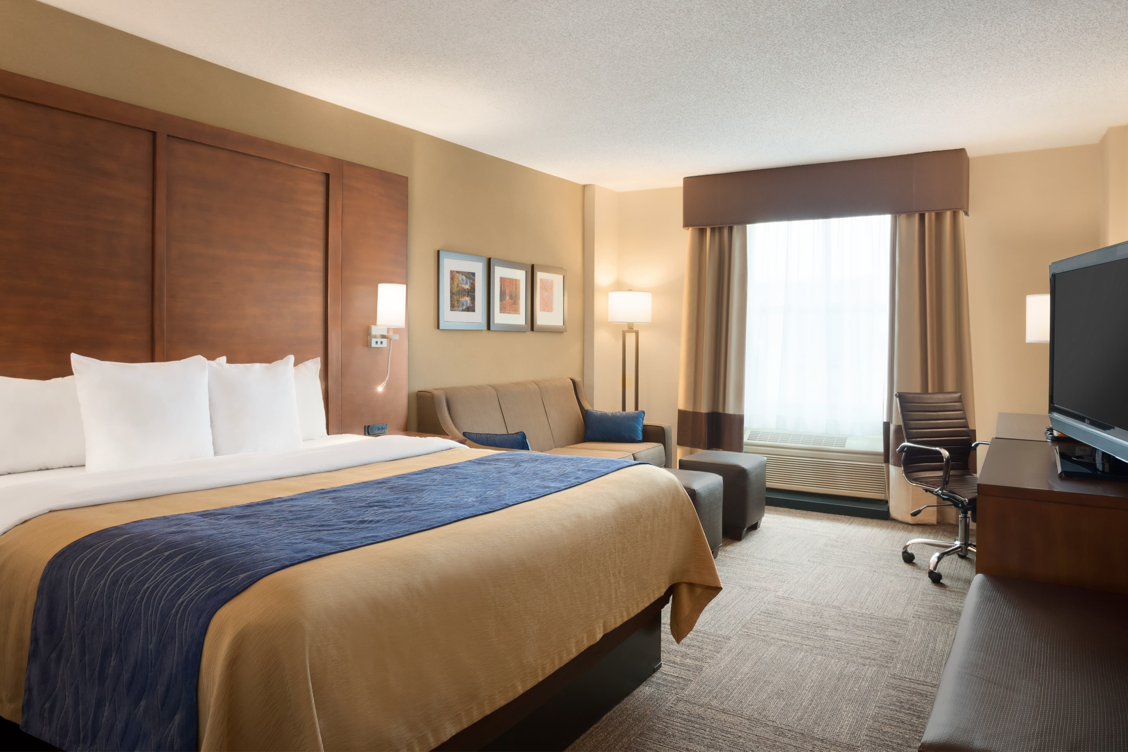 Comfort Inn & Suites Presidential — 9