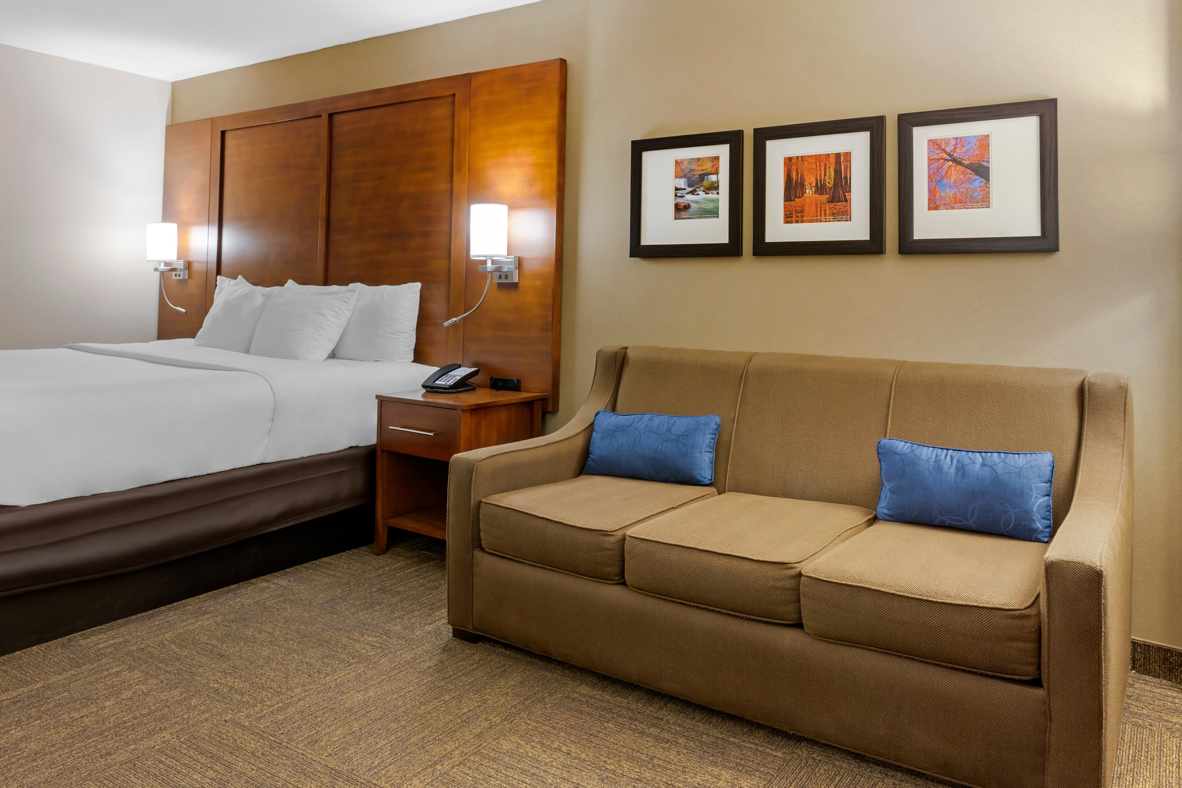 Comfort Inn & Suites Presidential — 11