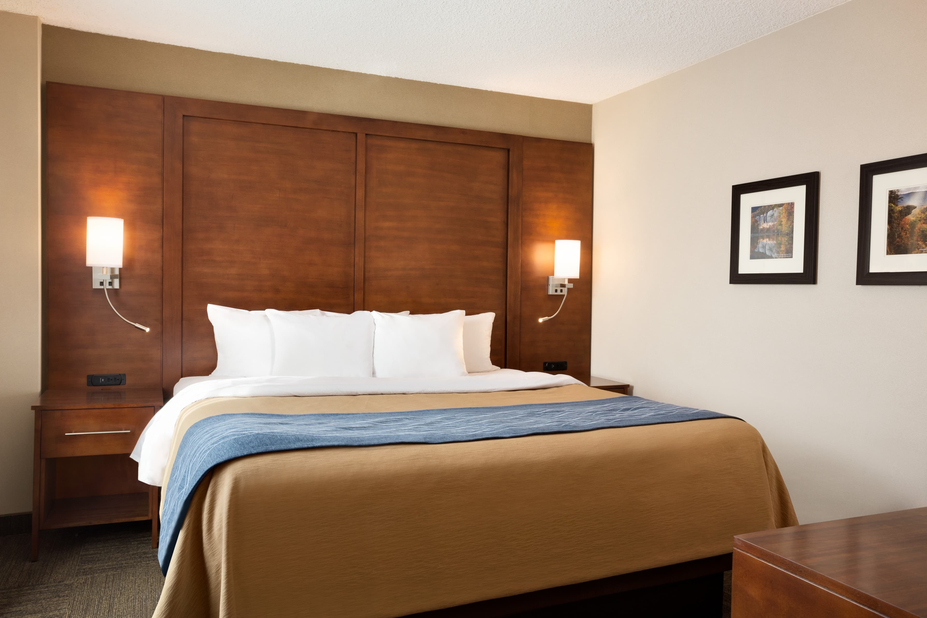 Comfort Inn & Suites Presidential — 18