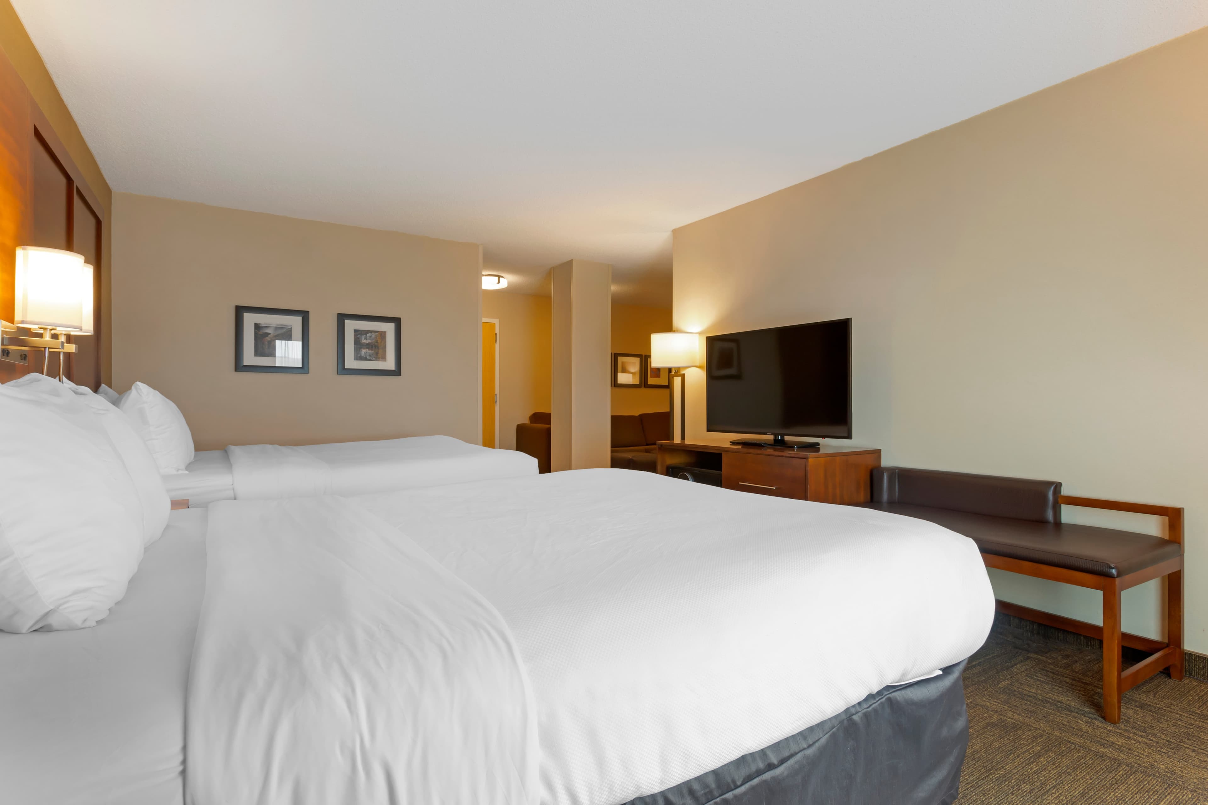 Comfort Inn & Suites Presidential — 24
