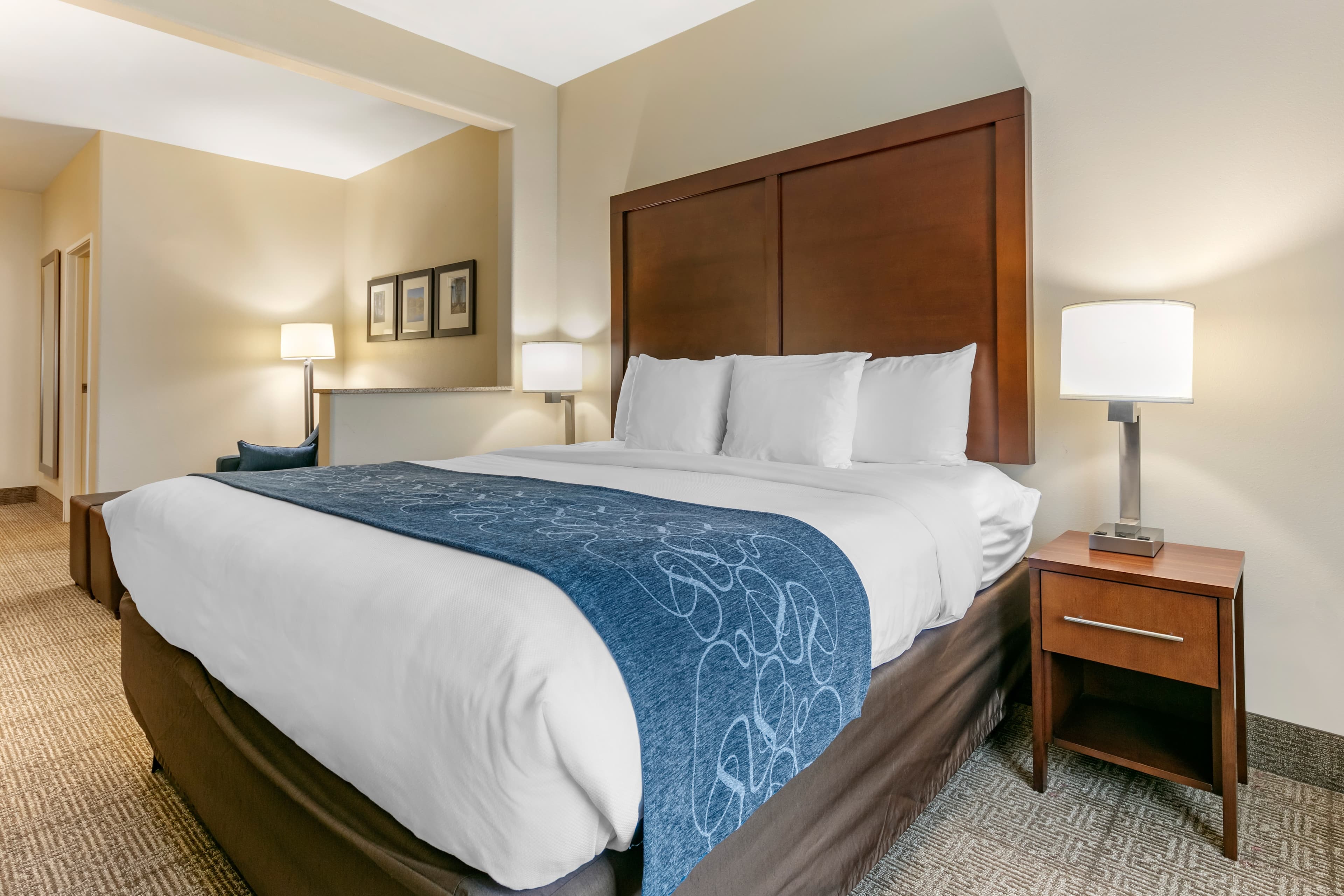 Comfort Suites Batesville — 8