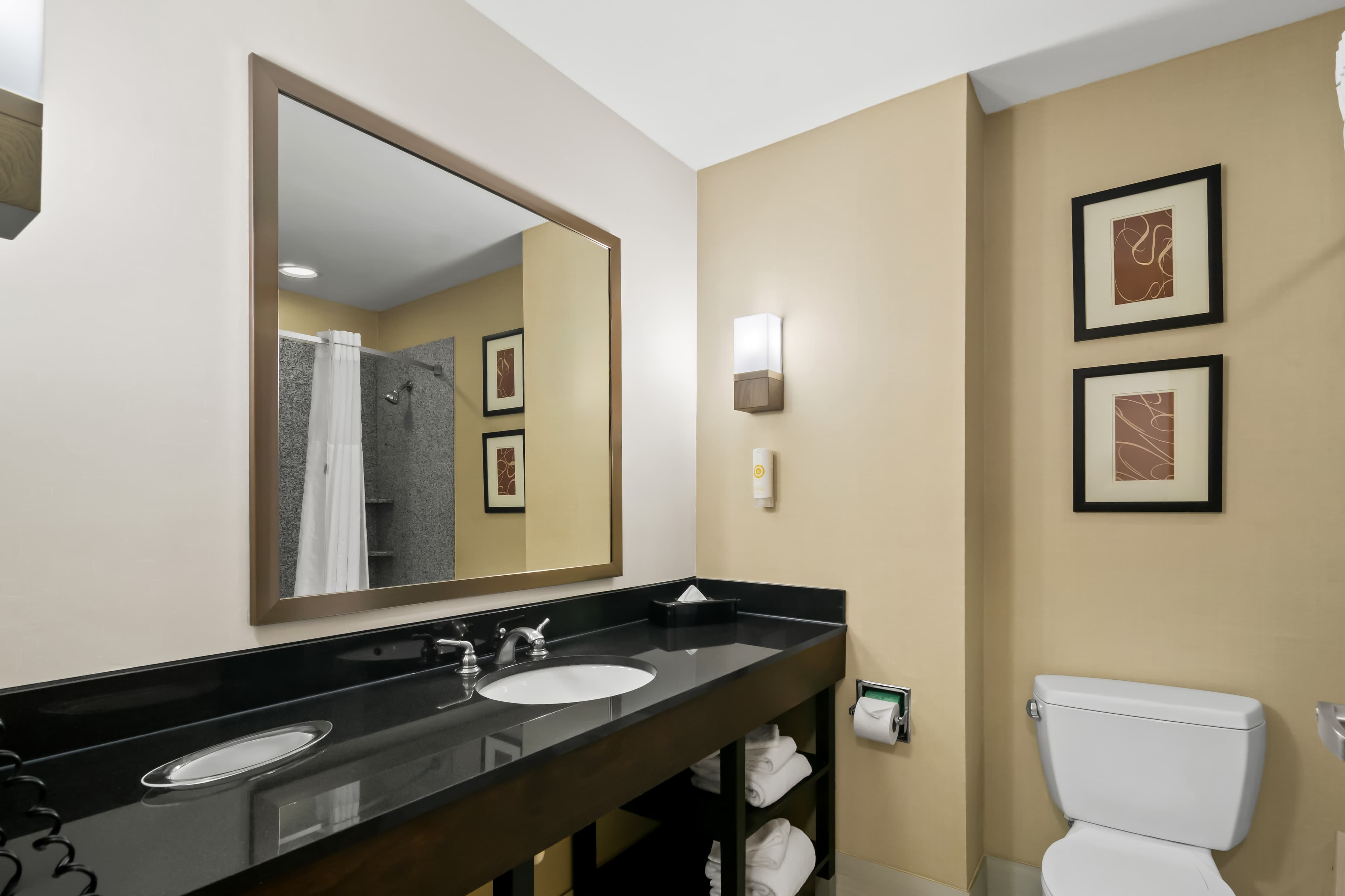Comfort Suites Bentonville - Rogers — 18