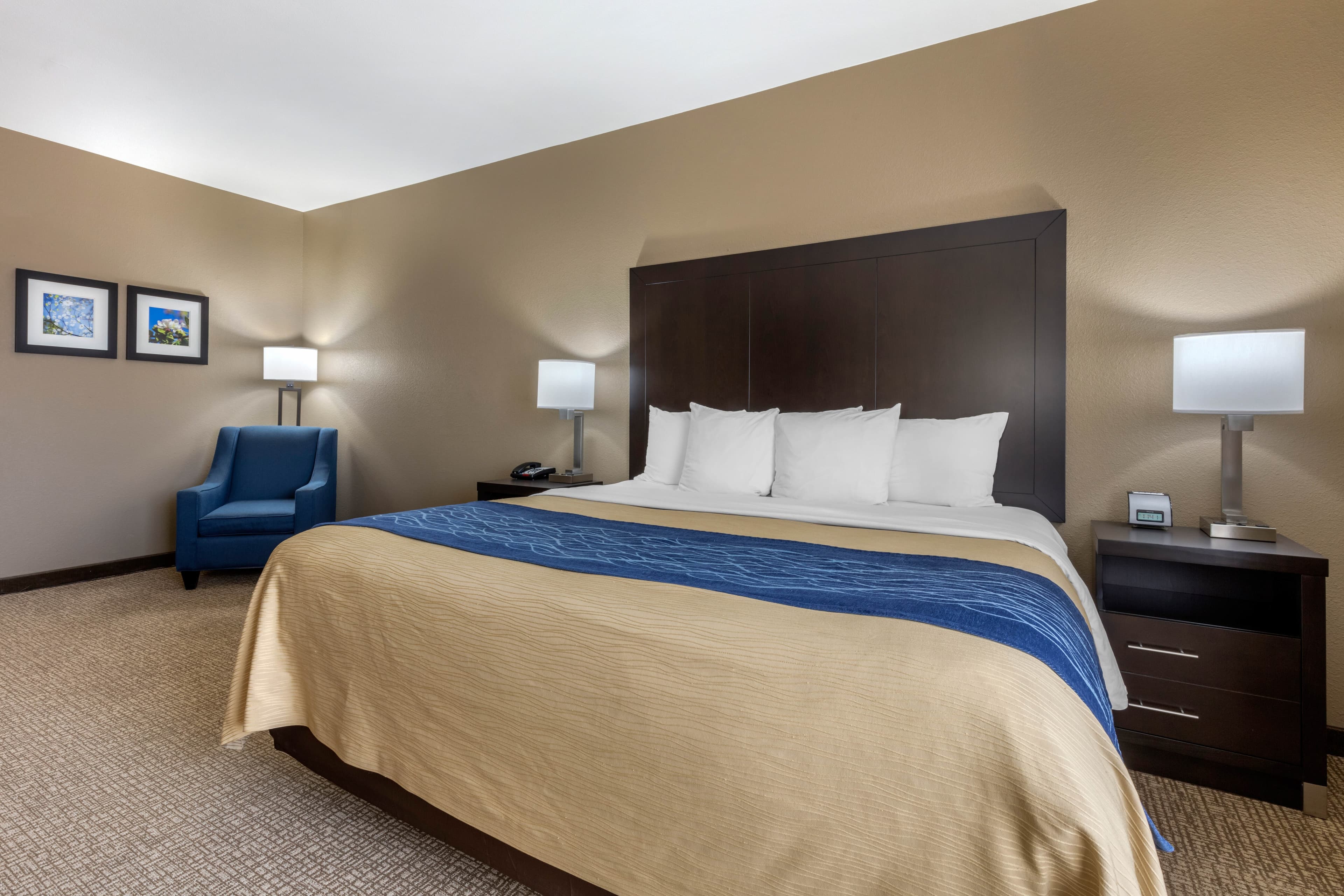 Comfort Inn & Suites North Little Rock McCain Mall - Image 2
