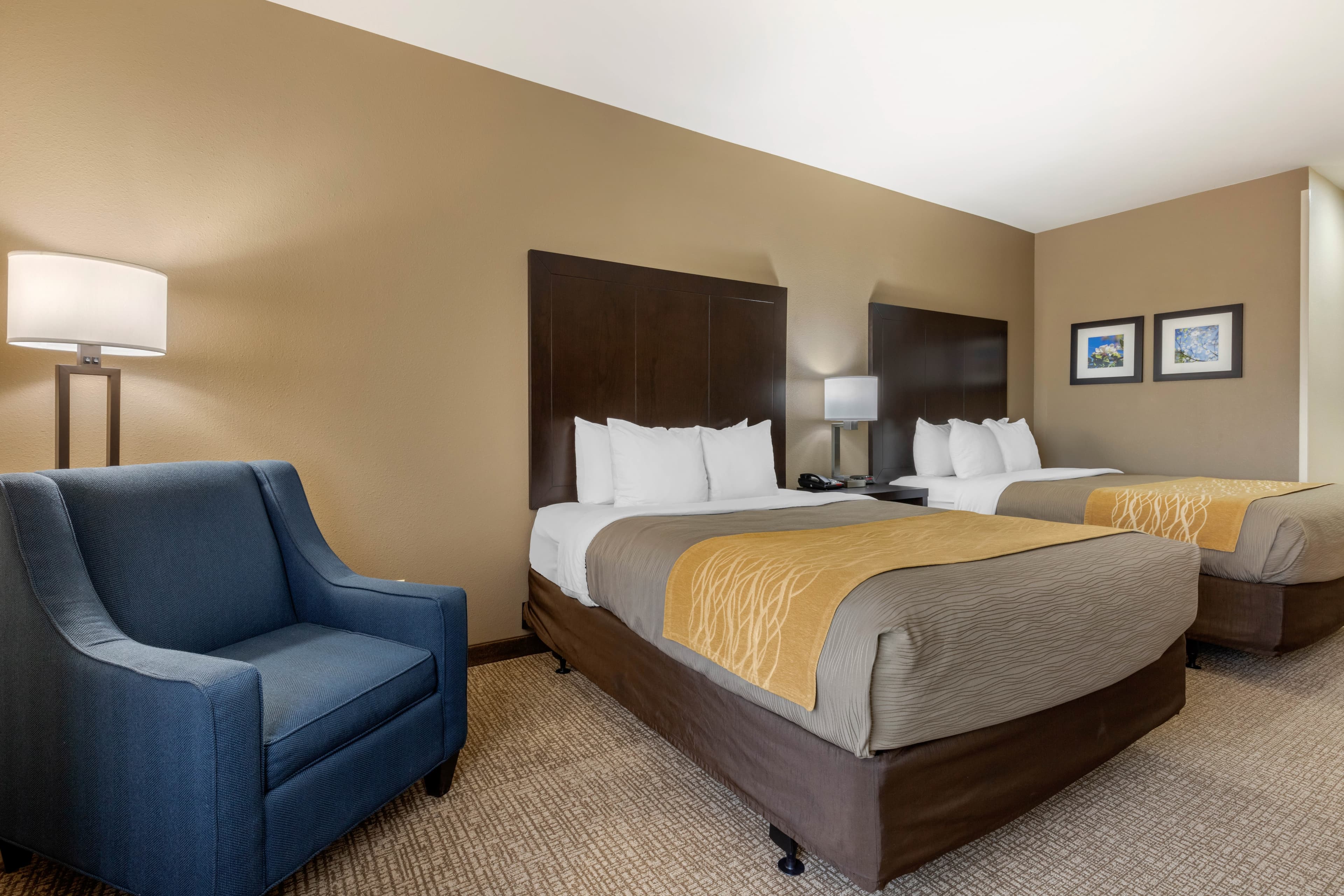 Comfort Inn & Suites North Little Rock McCain Mall — 10