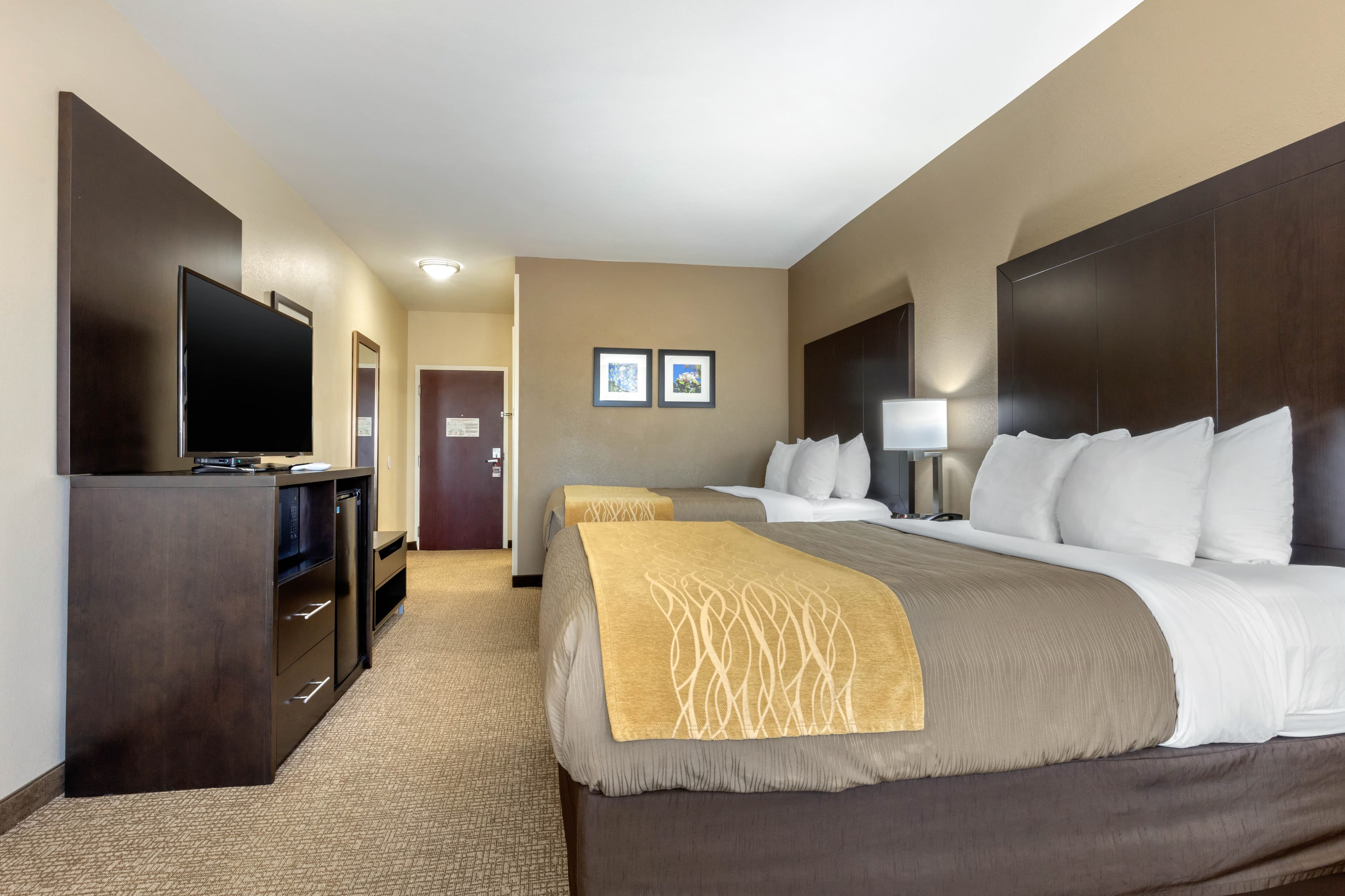 Comfort Inn & Suites North Little Rock McCain Mall — 20