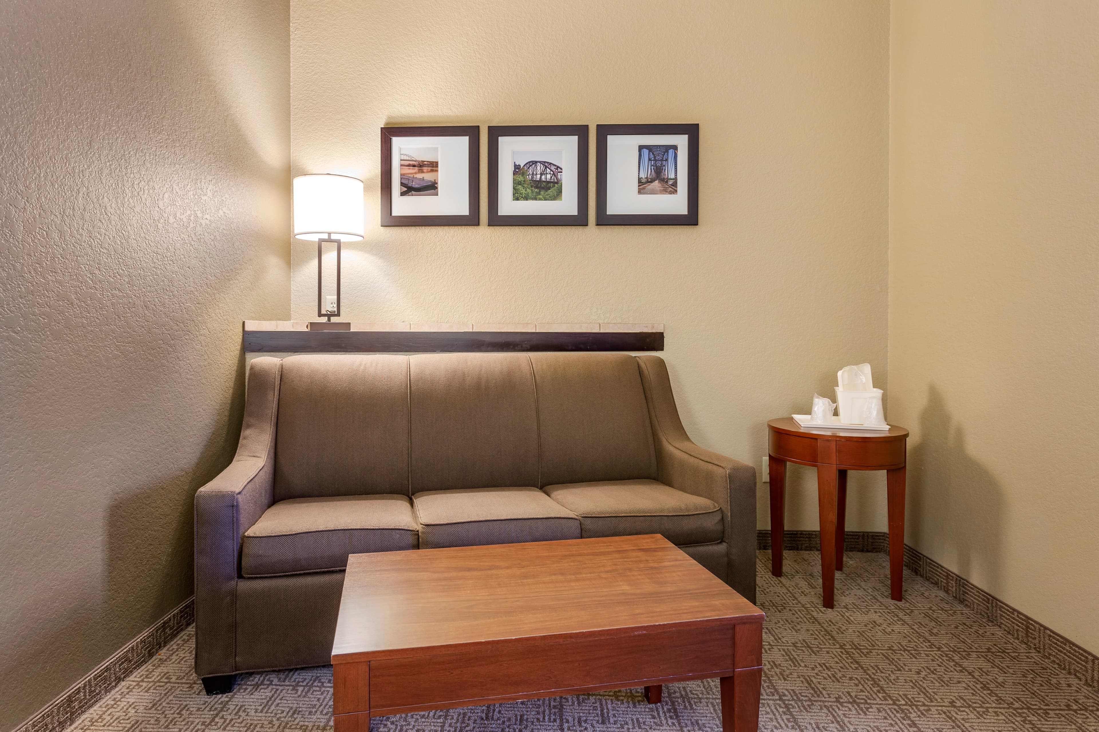 Comfort Suites Jonesboro University Area — 10