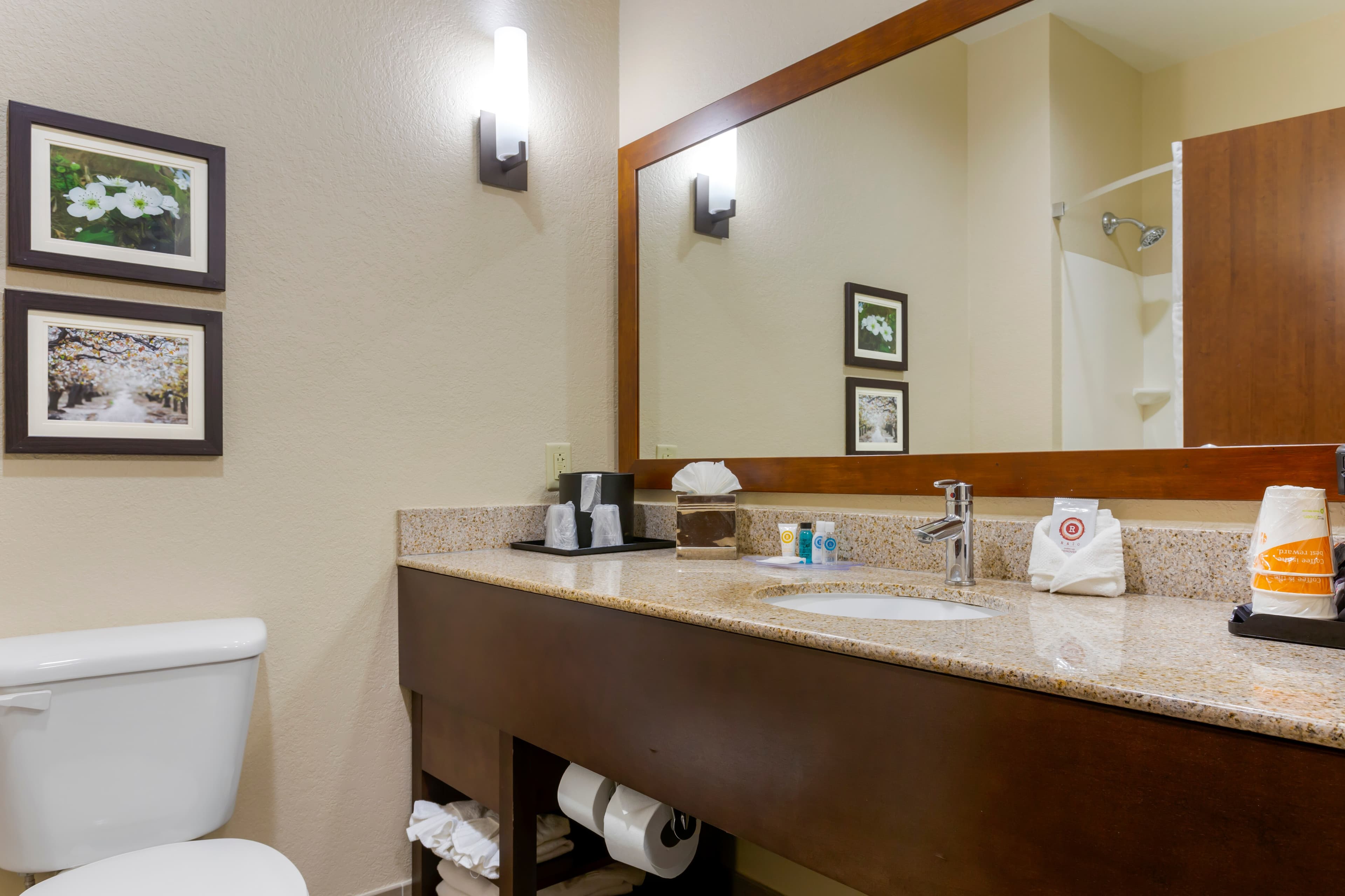 Comfort Suites Little Rock West — 23