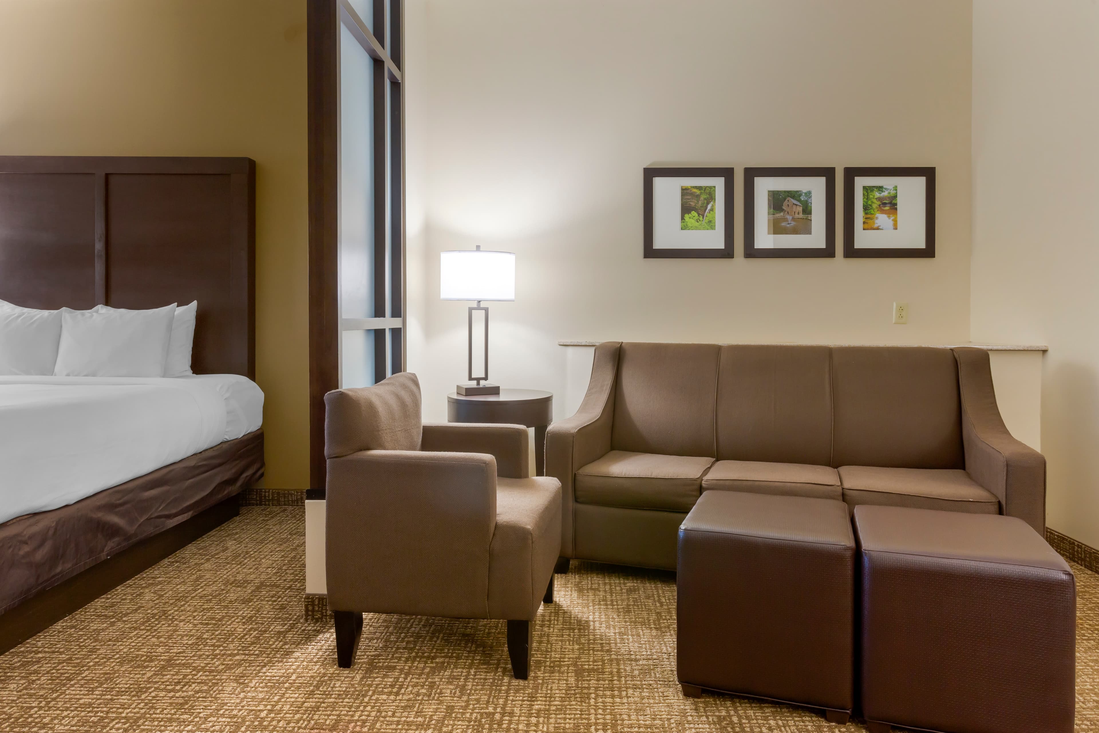 Comfort Suites Little Rock West — 15
