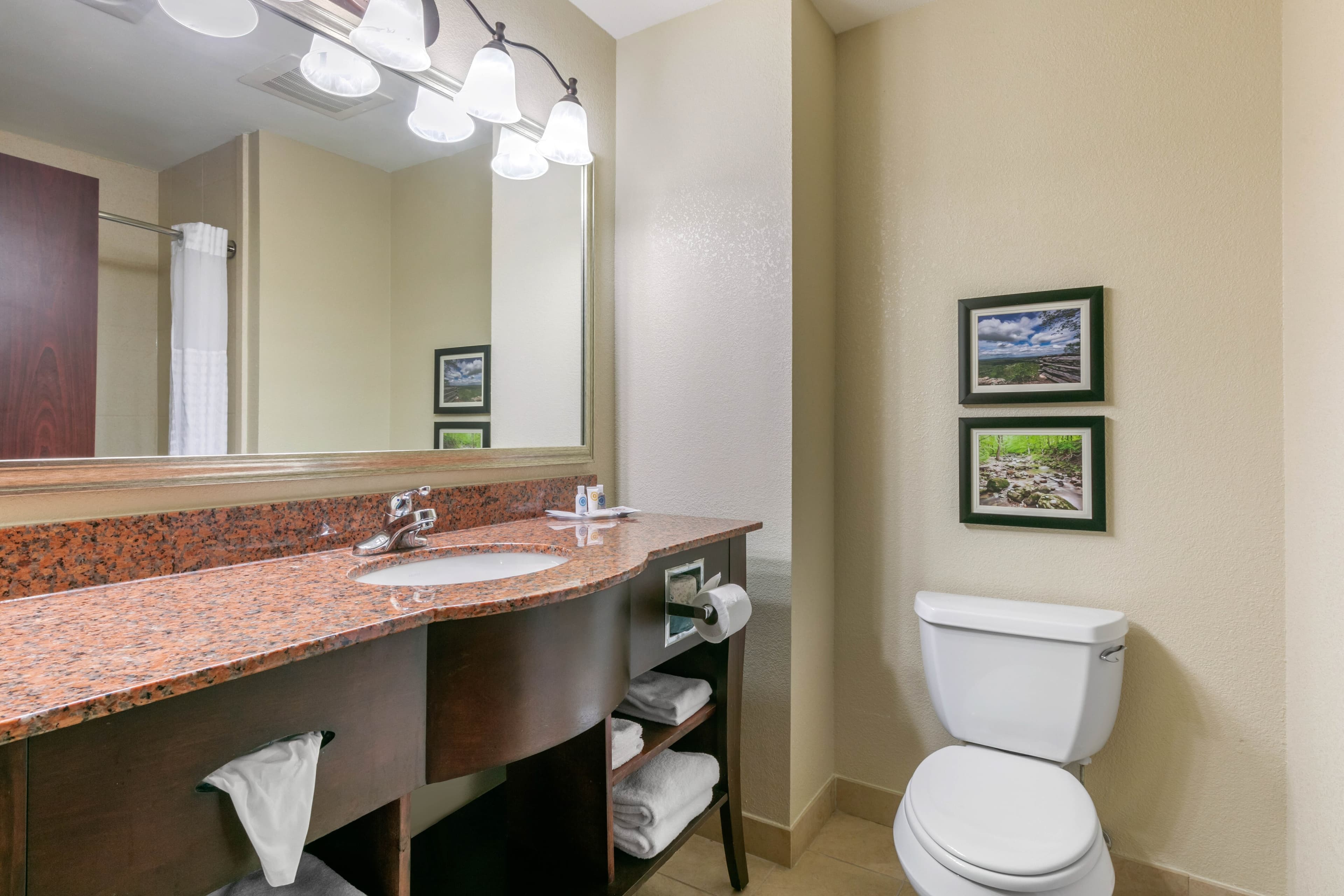 Comfort Suites Forrest City — 18