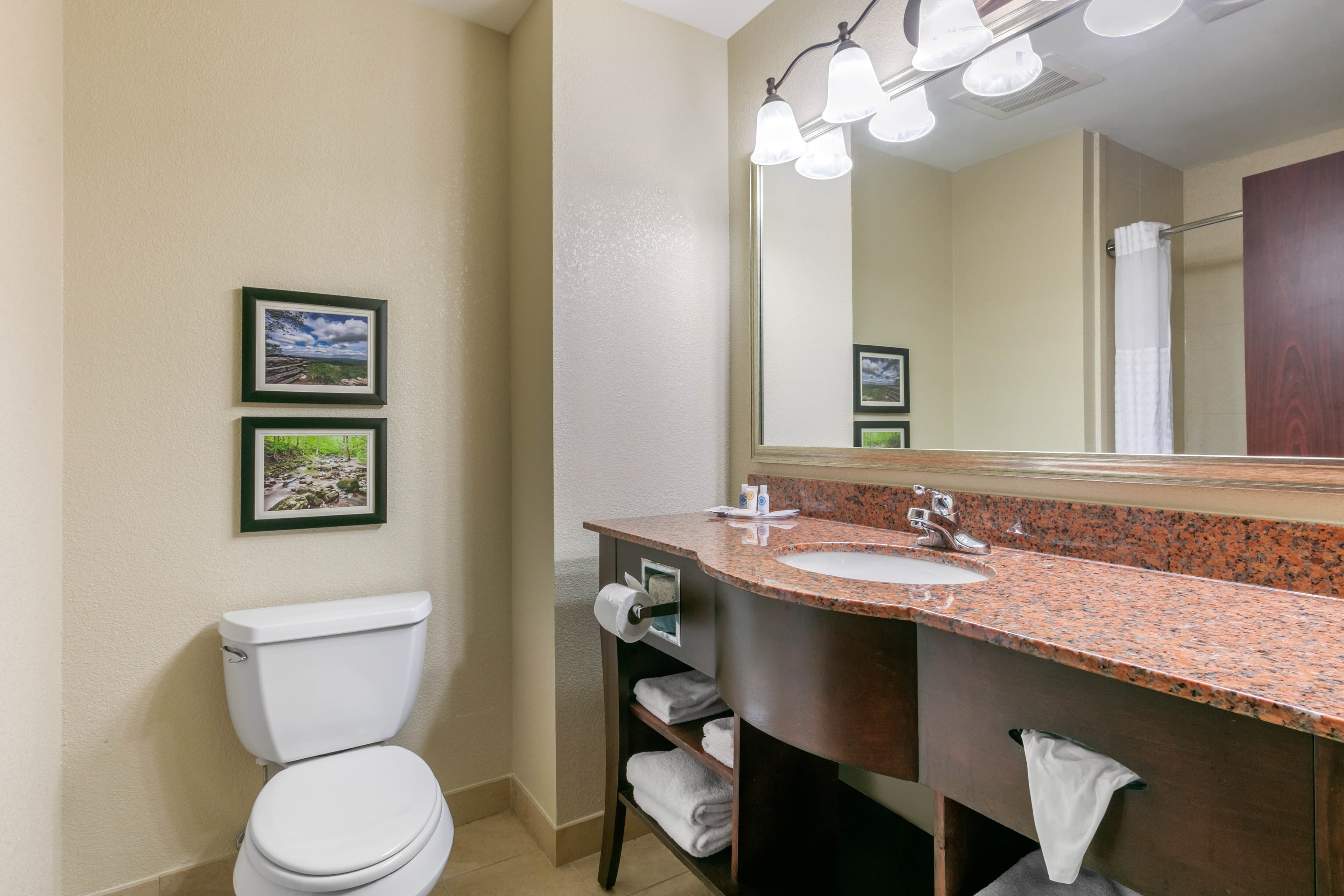 Comfort Suites Forrest City — 30
