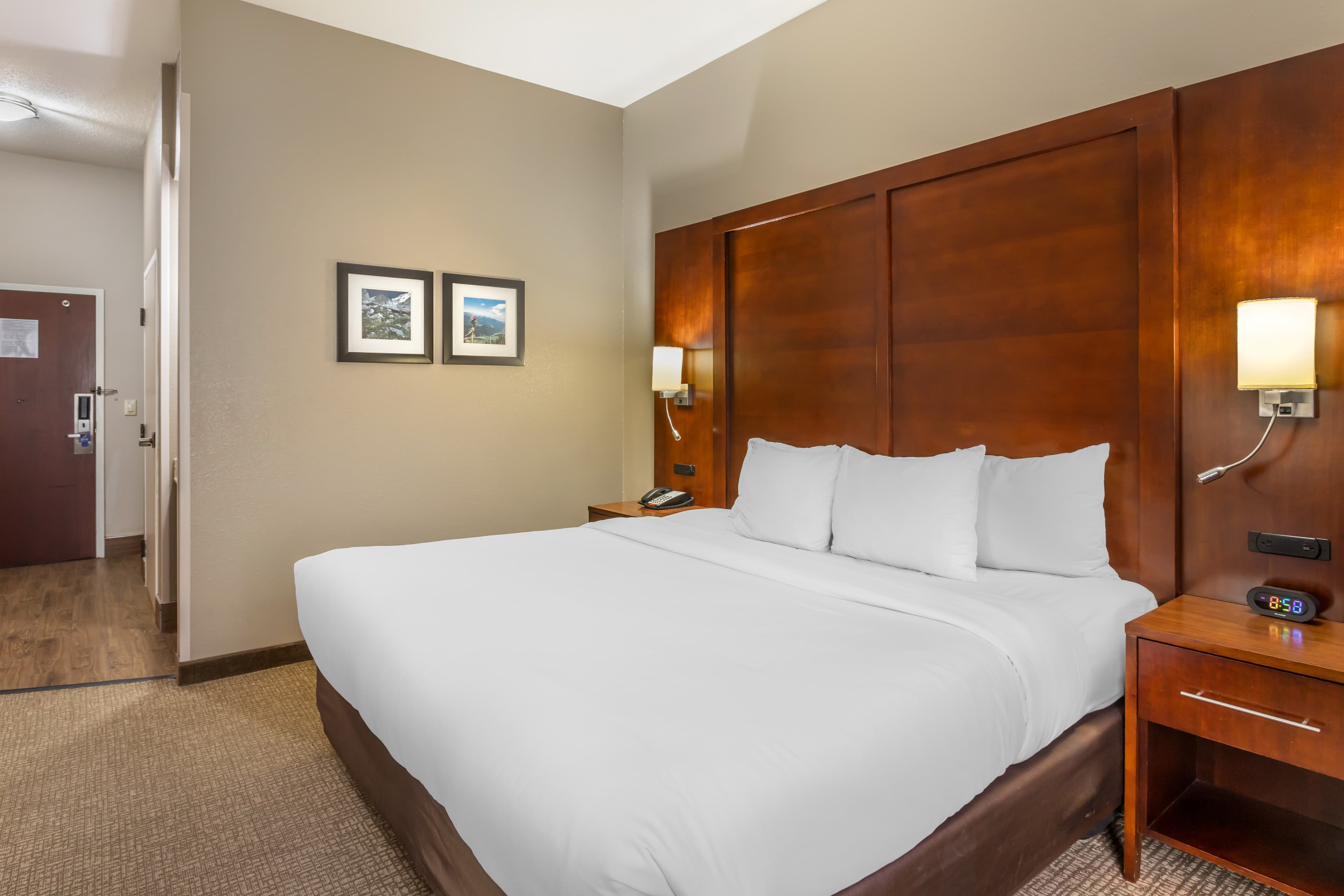 Comfort Inn & Suites Conway - Image 3