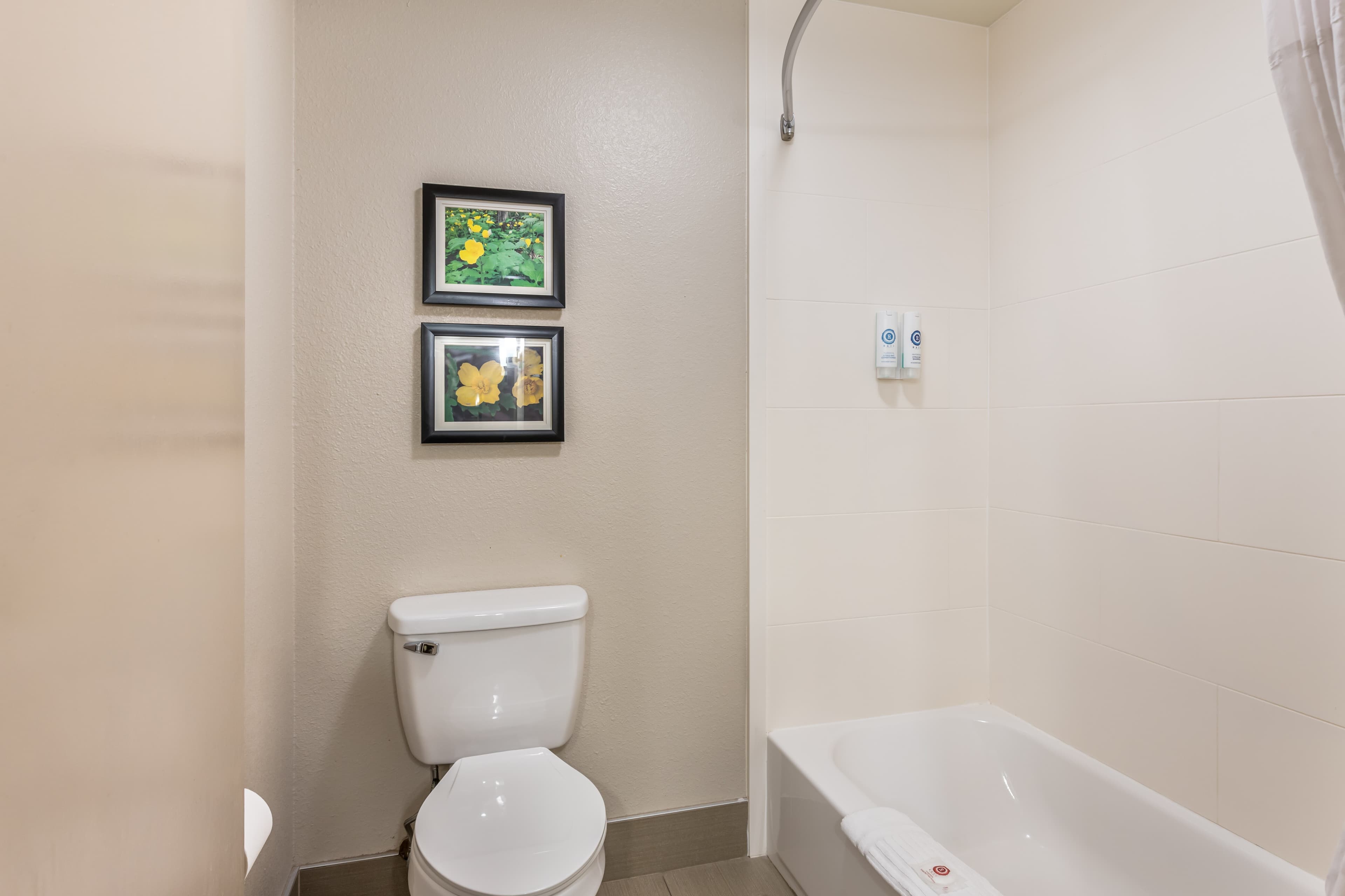 Comfort Inn & Suites Conway — 9