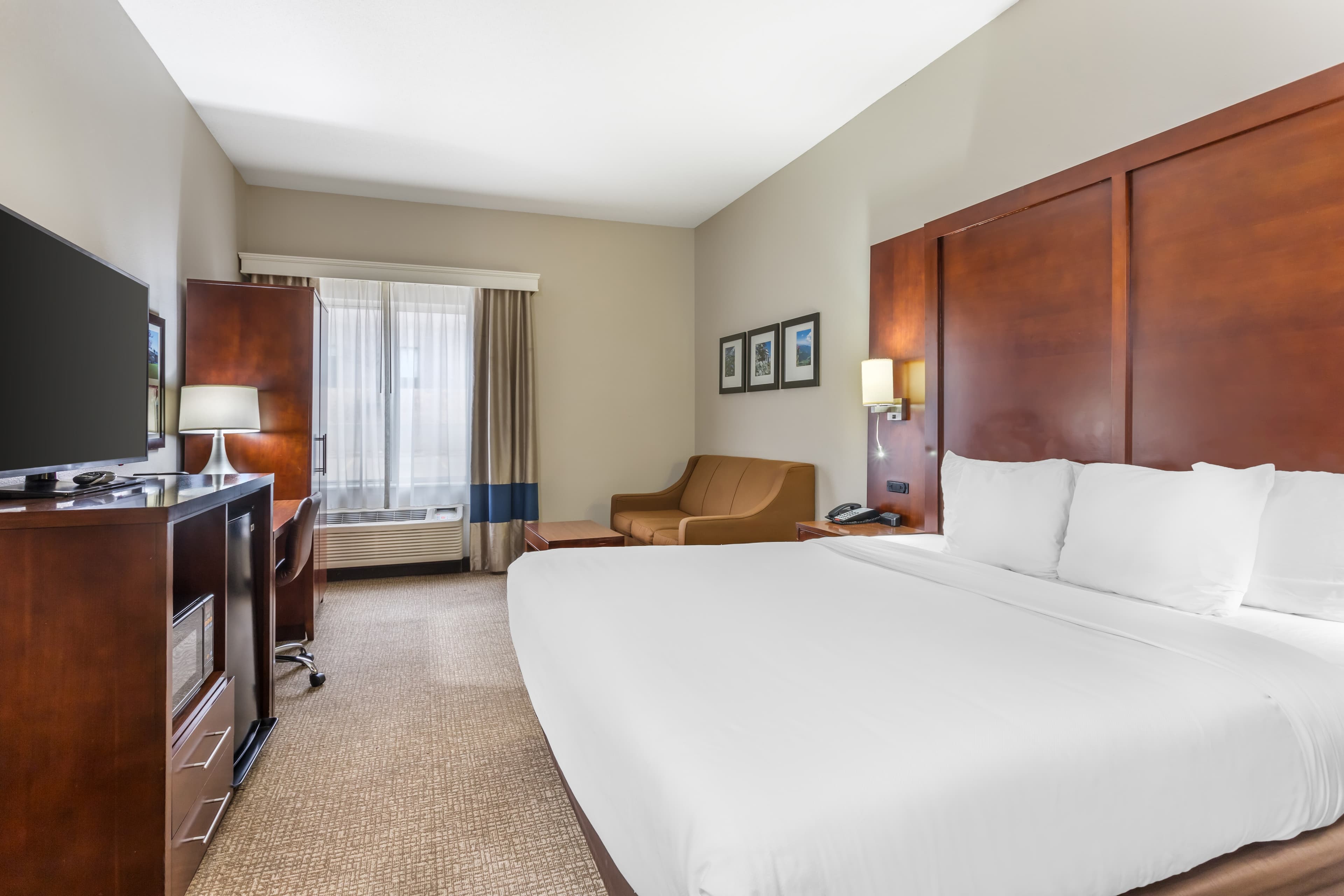 Comfort Inn & Suites Conway — 10