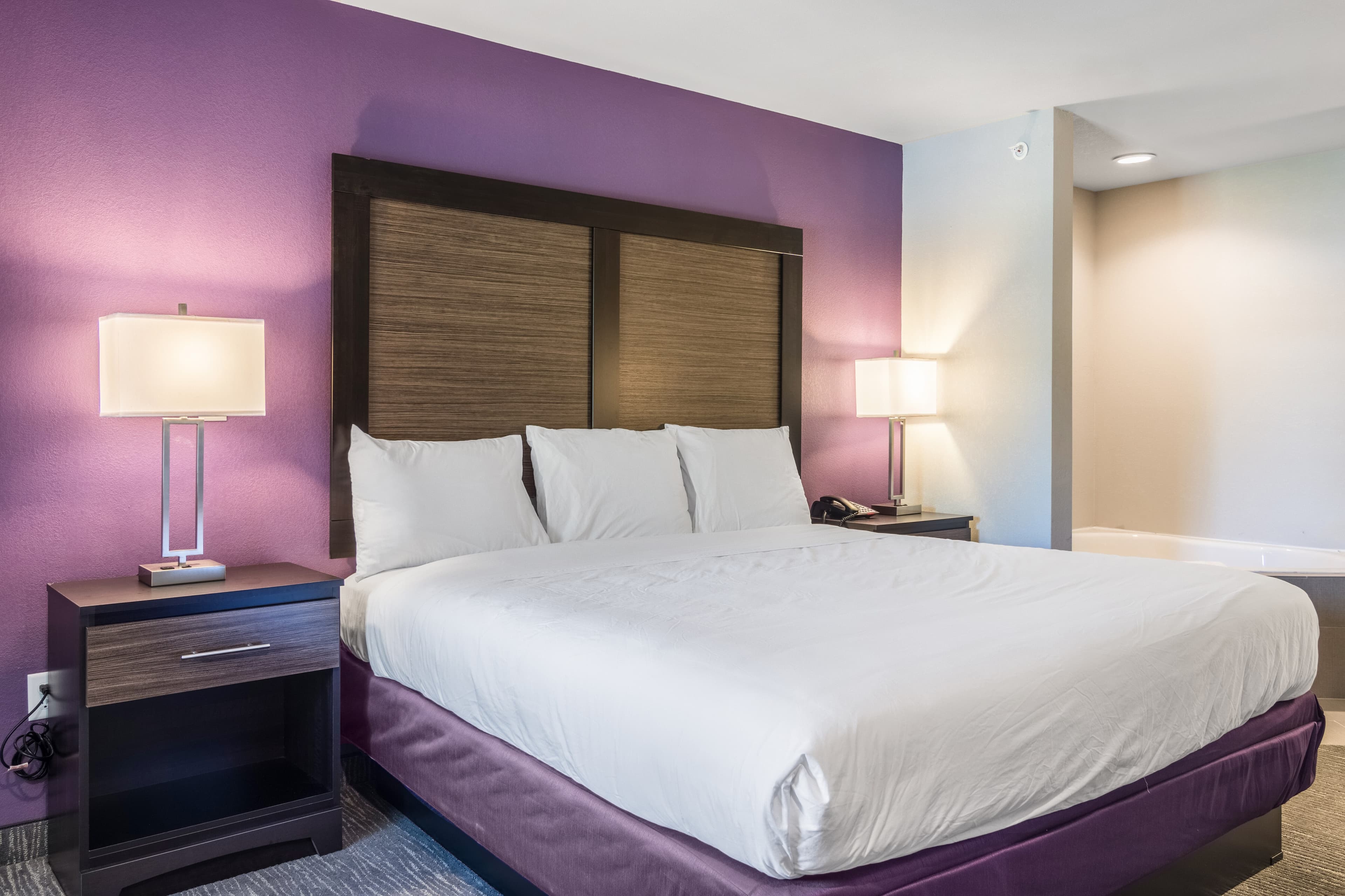 Econo Lodge Inn & Suites North Little Rock near Riverfront — 7