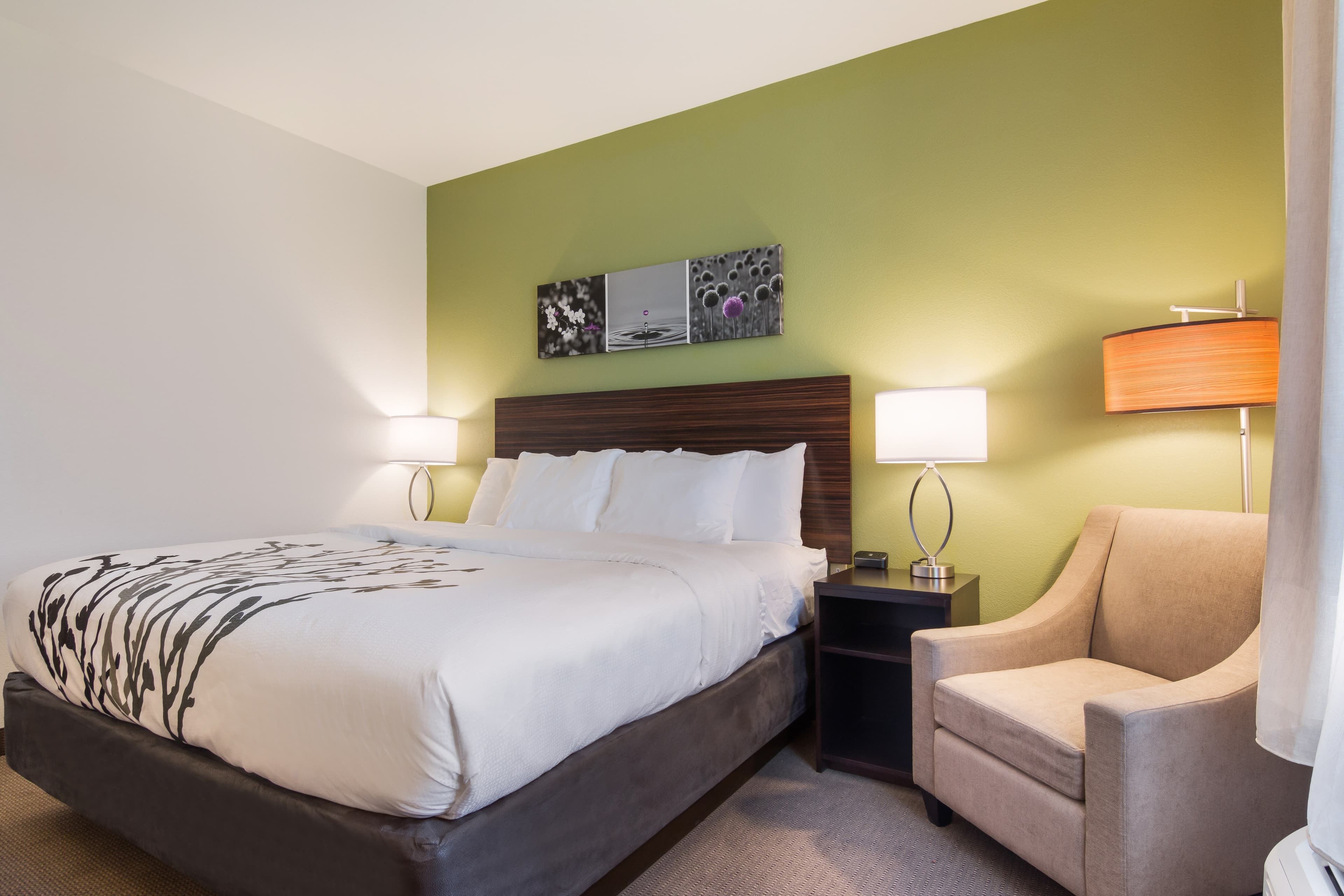 Sleep Inn East Camden — 9