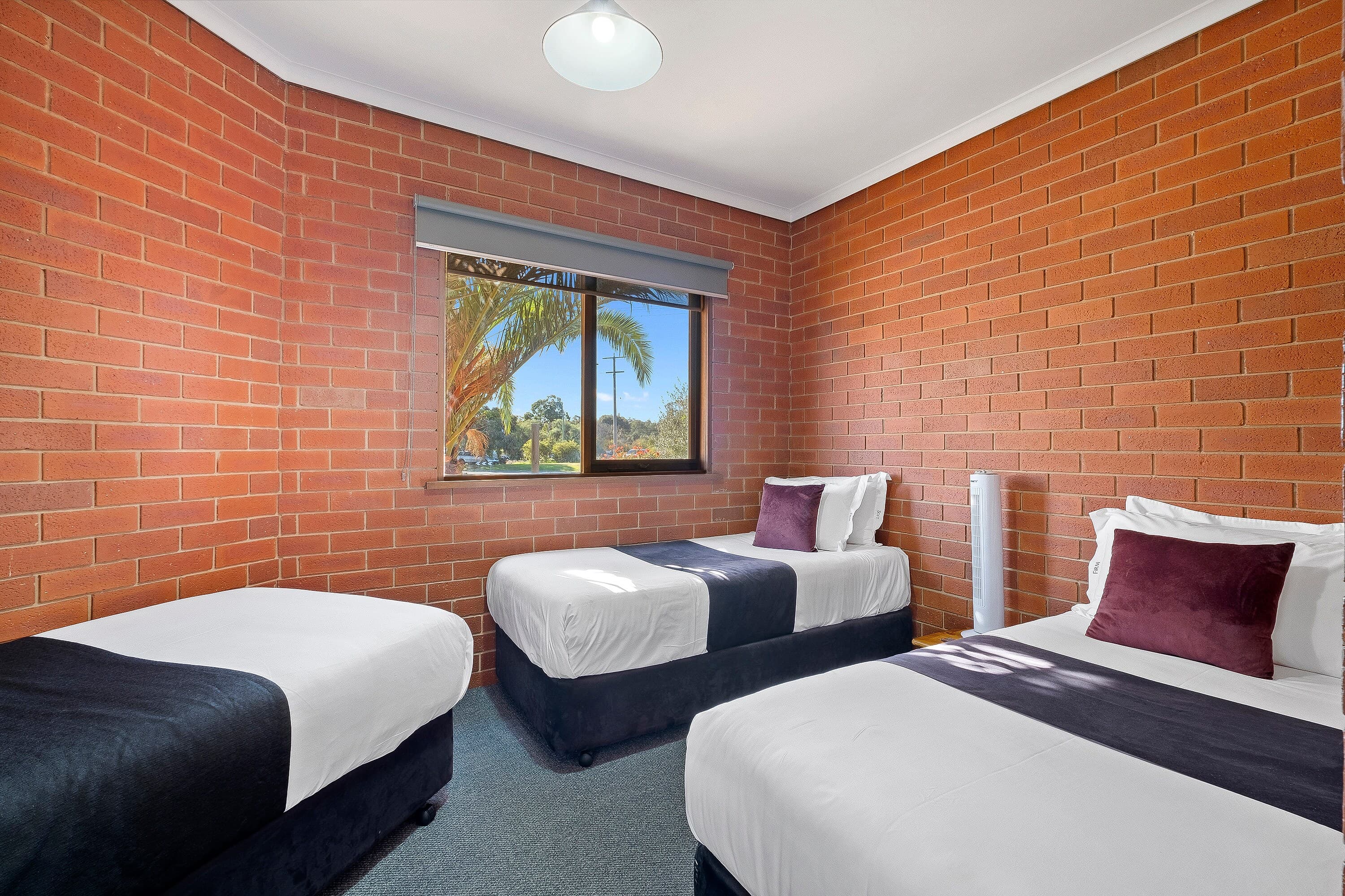 Comfort Inn Lady Augusta — 6