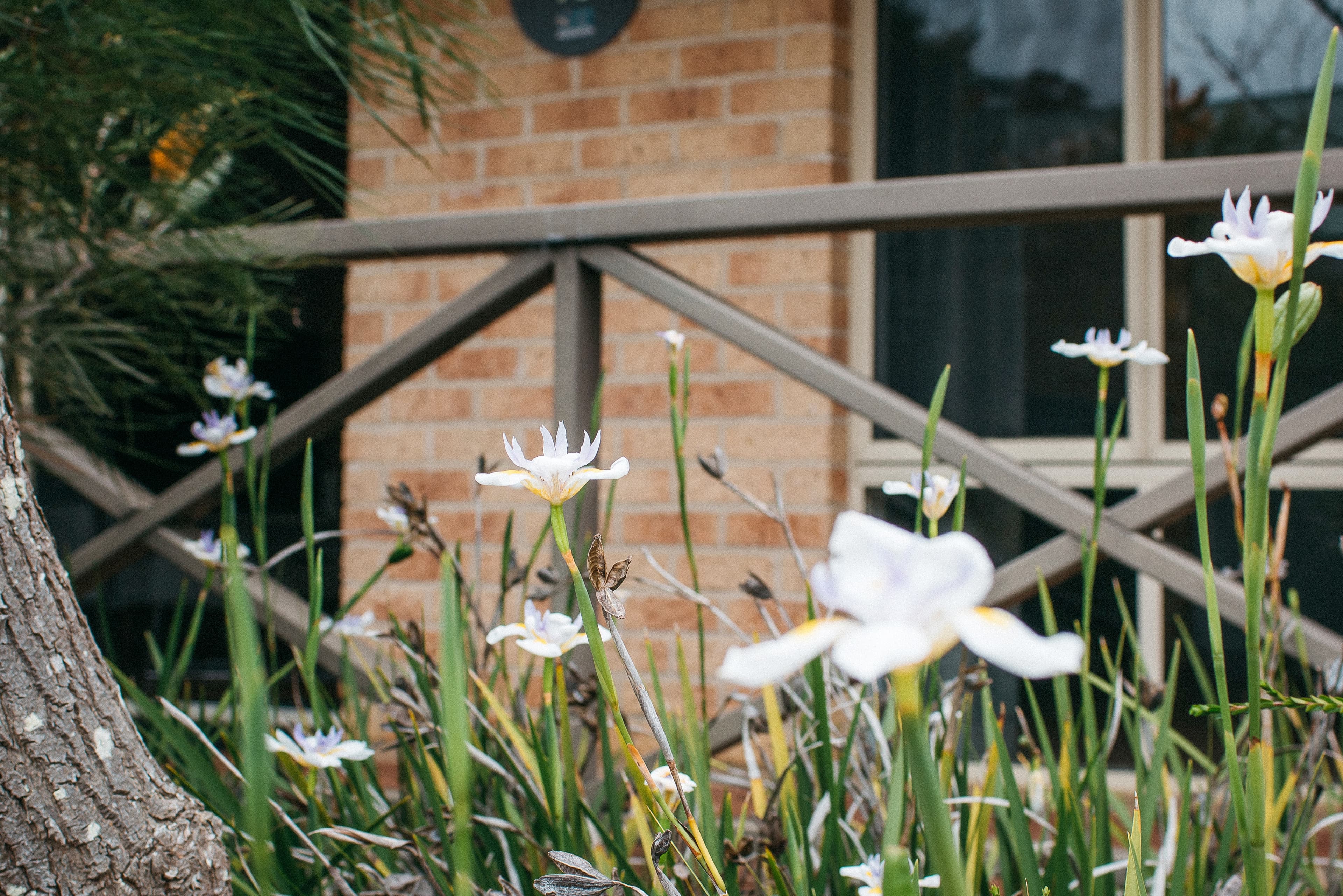 Quality Apartments Banksia Albany — 20