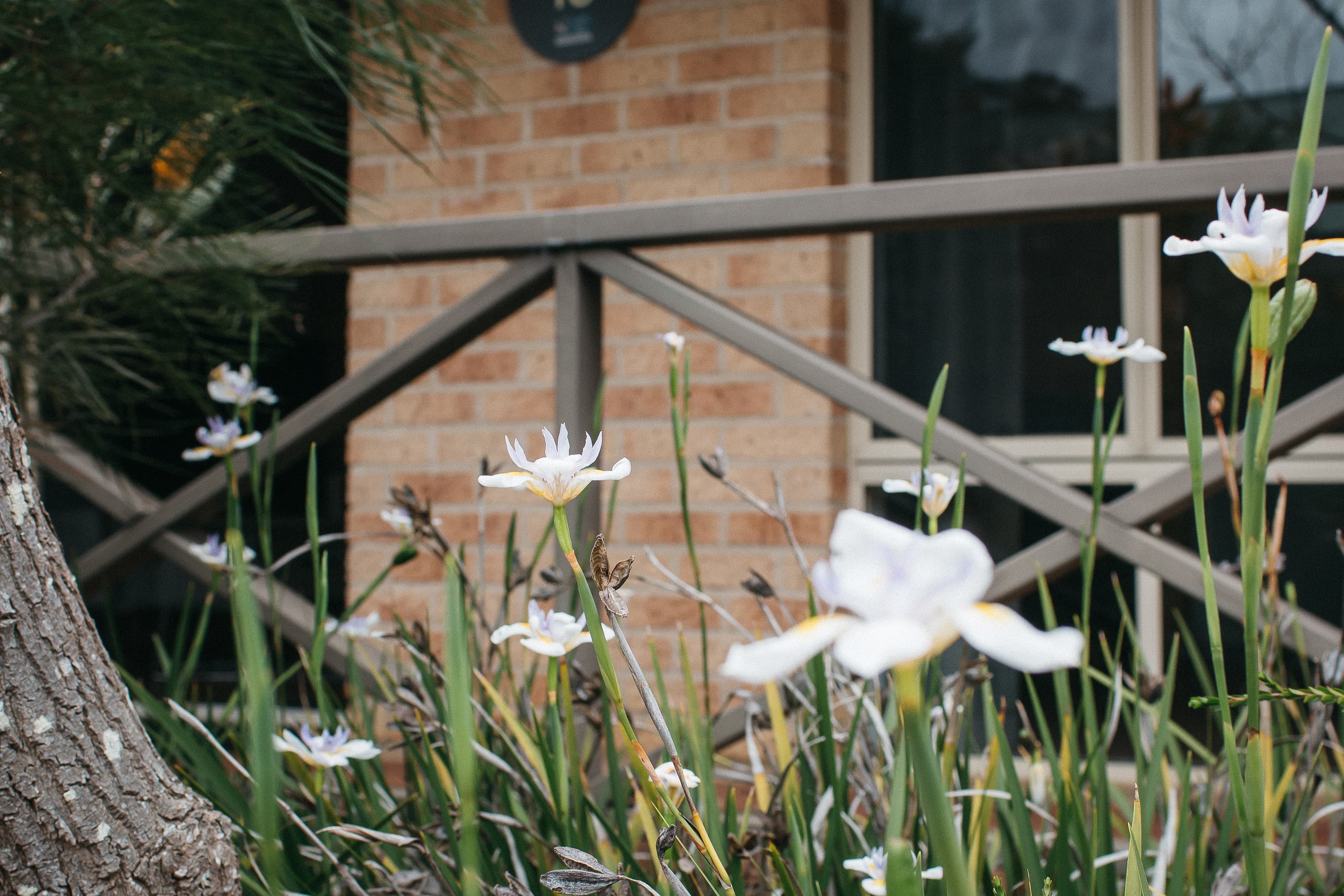Quality Apartments Banksia Albany — 26