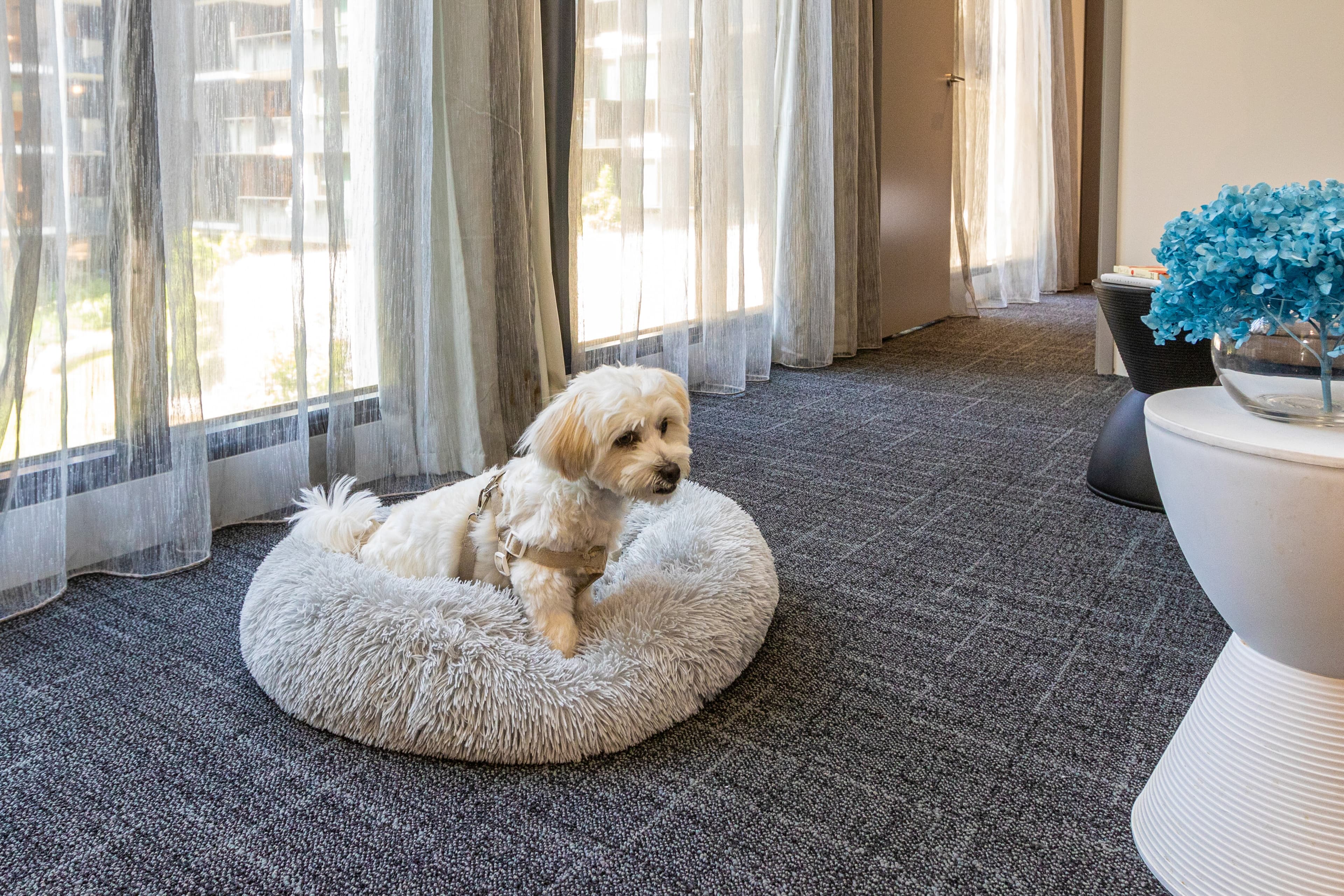 MainStay Suites Abbotsford — 16