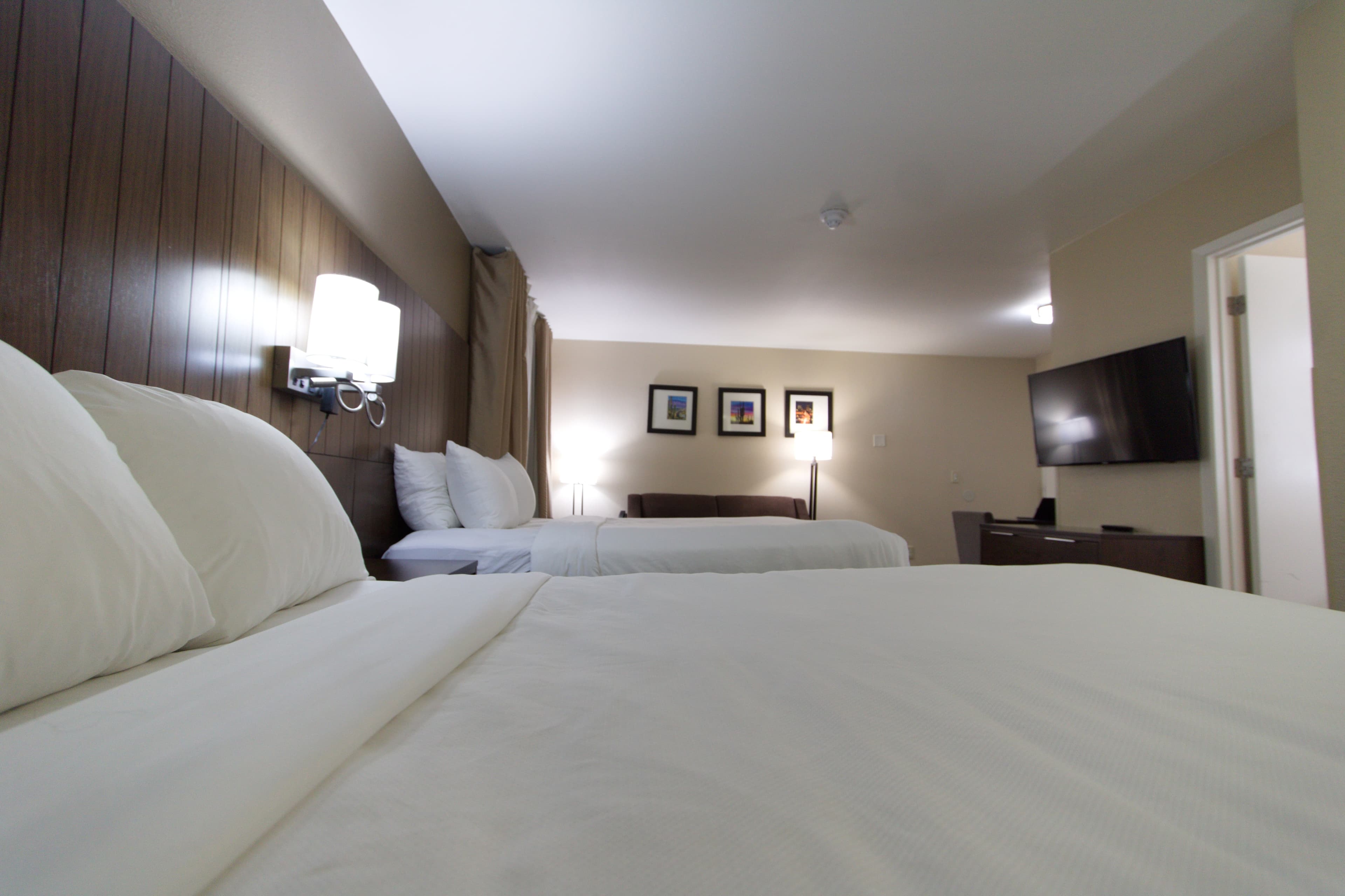 Comfort Suites Tucson near Sabino Canyon — 20