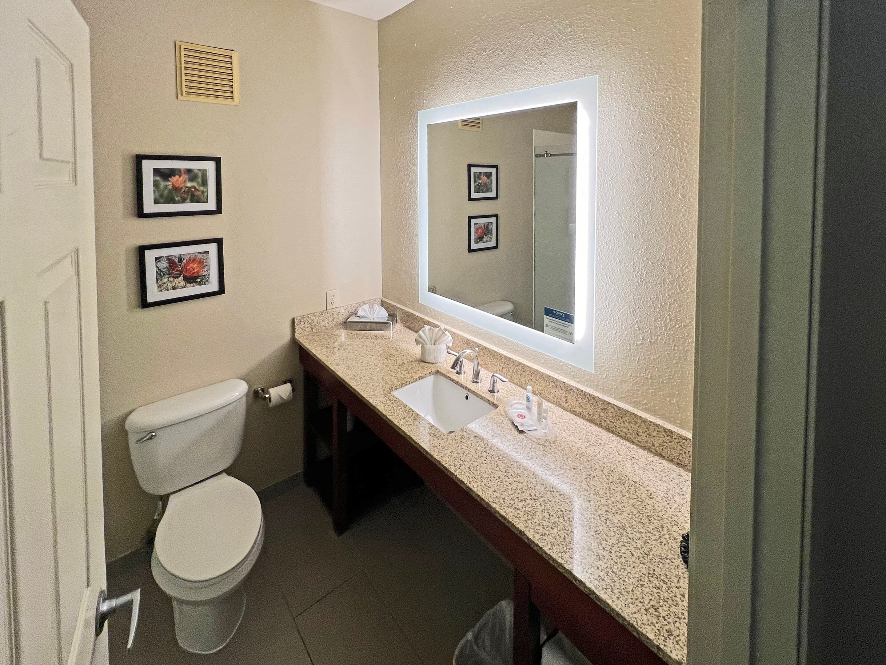 Comfort Suites Peoria Sports Complex — 35