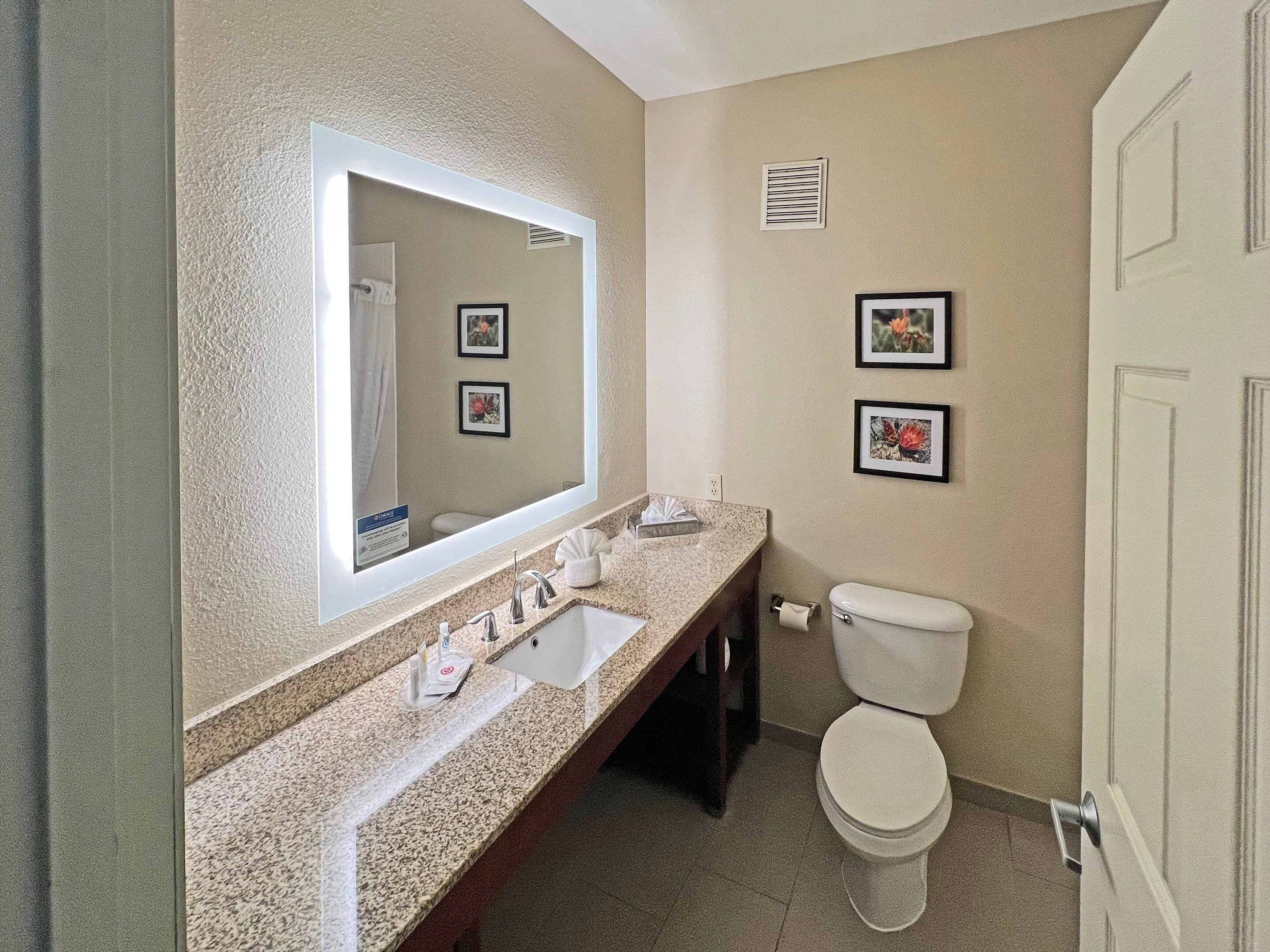Comfort Suites Peoria Sports Complex — 9
