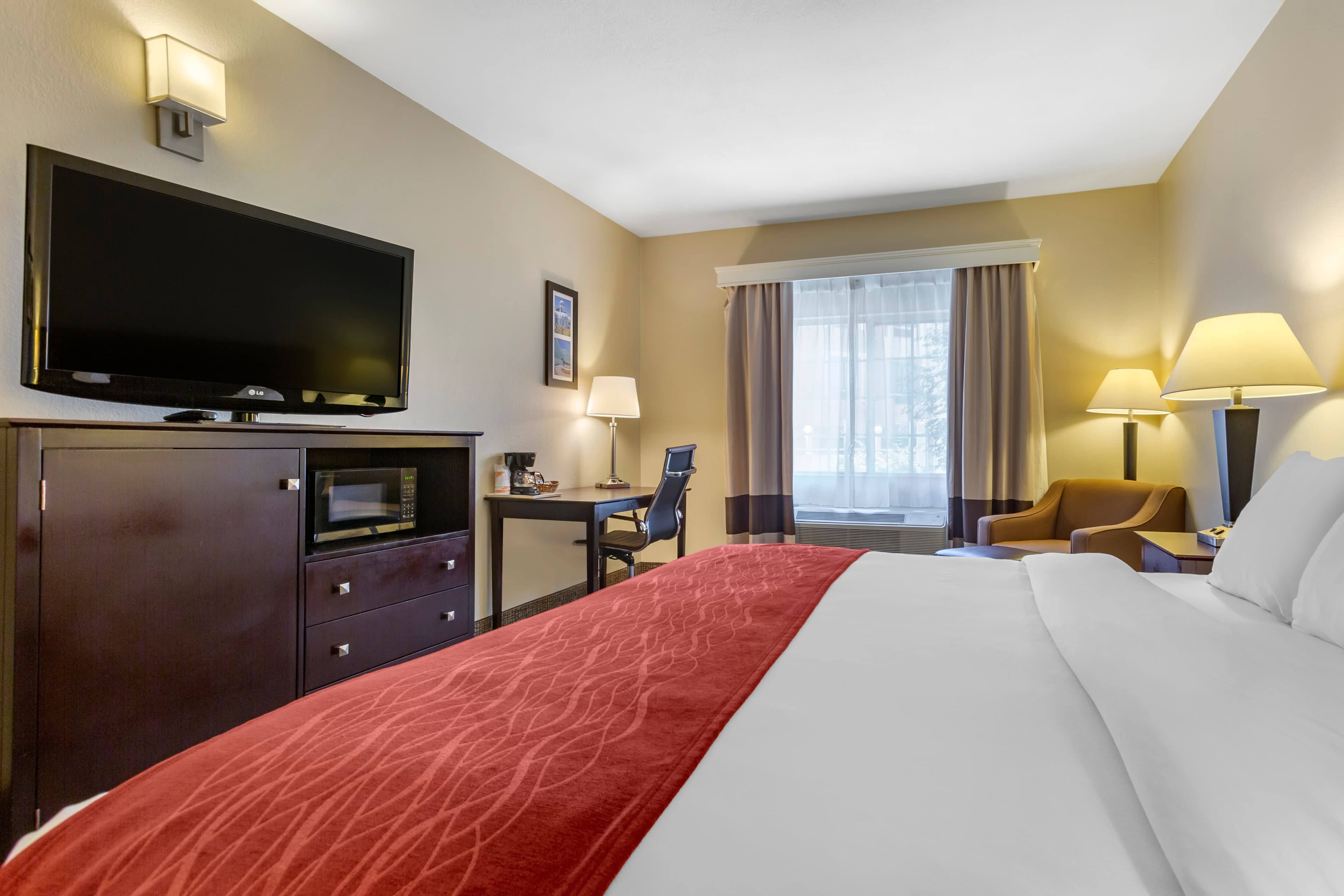 Comfort Inn & Suites North Tucson Marana - Image 3