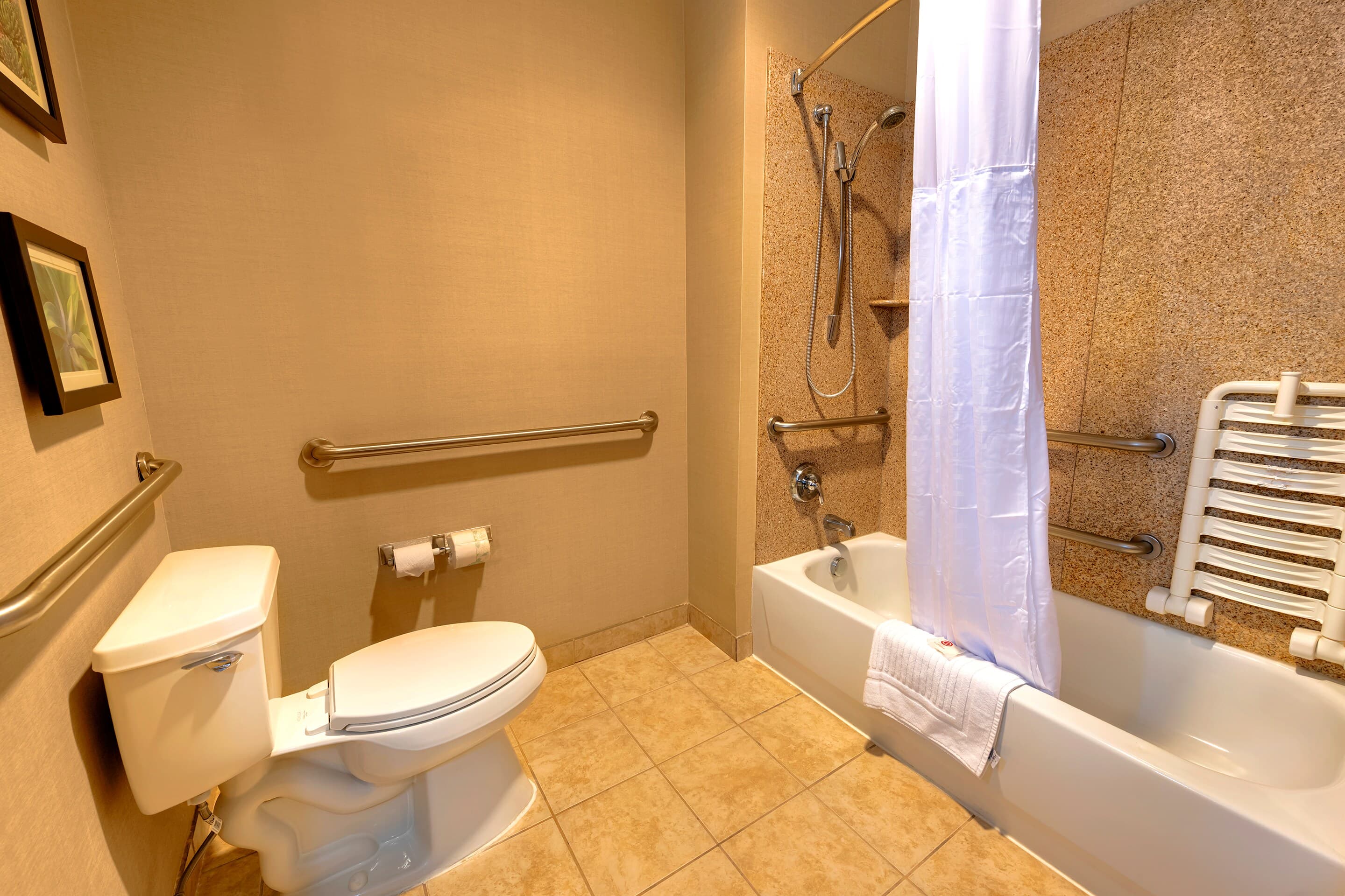 Comfort Suites Goodyear-West Phoenix - Image 4