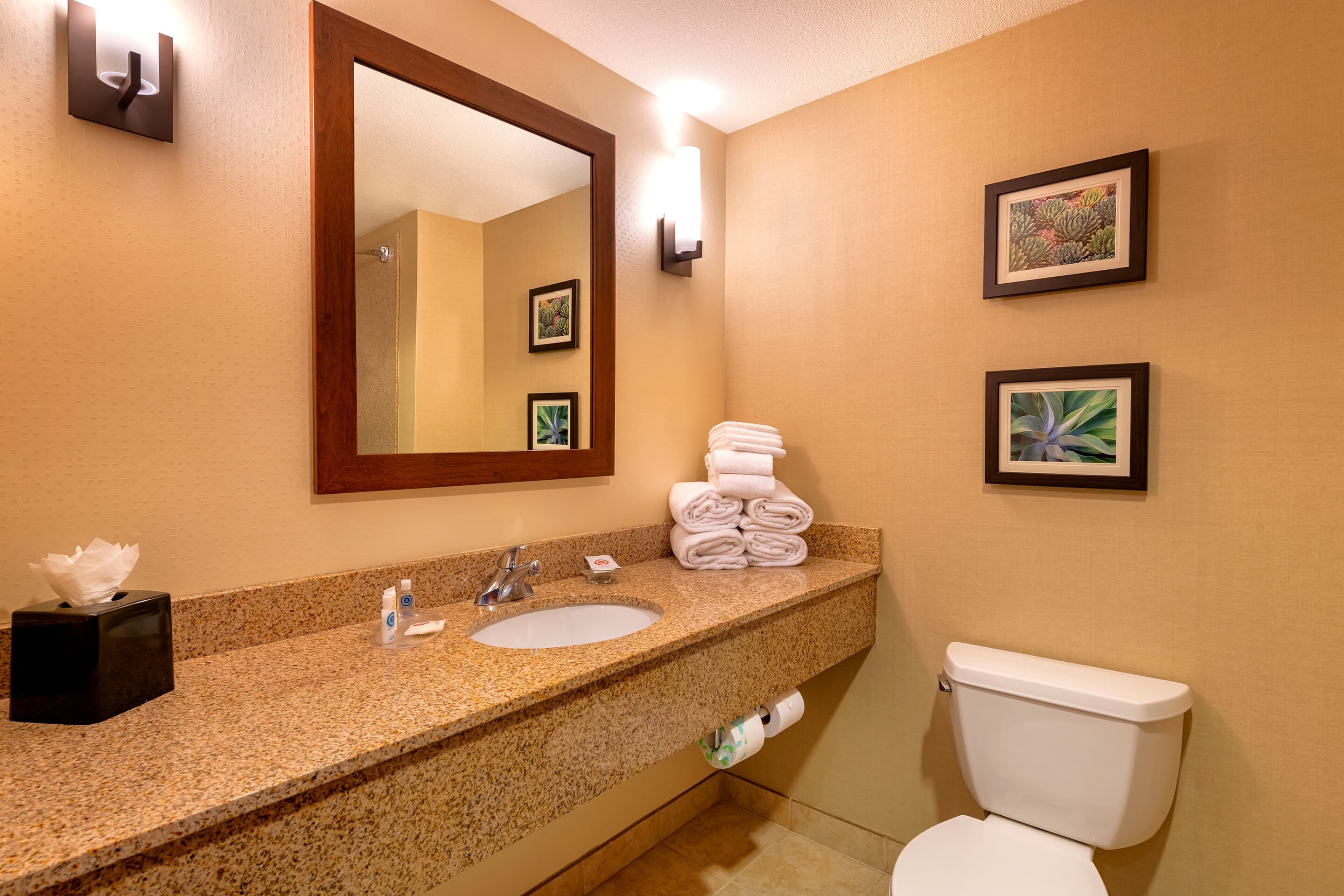 Comfort Suites Goodyear-West Phoenix — 13