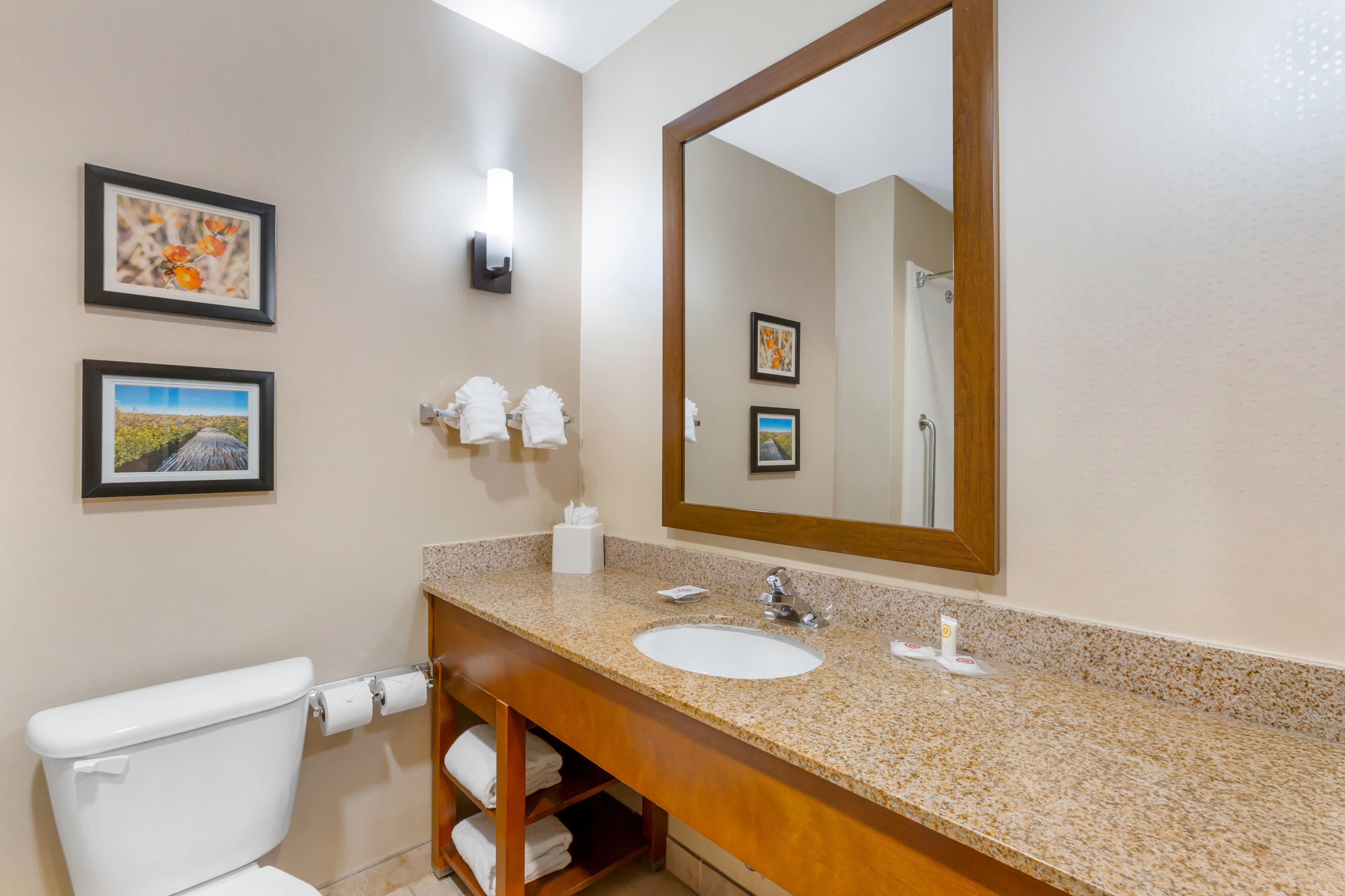Comfort Suites Glendale - State Farm Stadium Area — 32