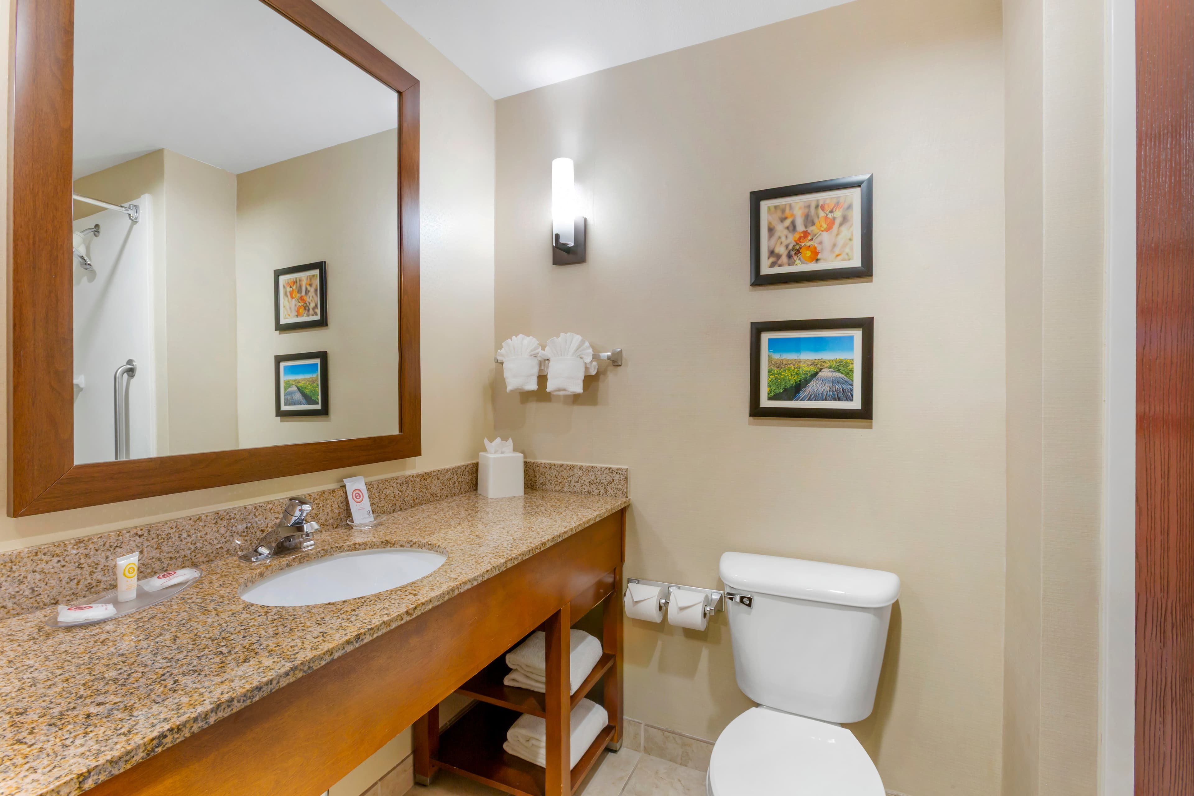 Comfort Suites Glendale - State Farm Stadium Area — 28