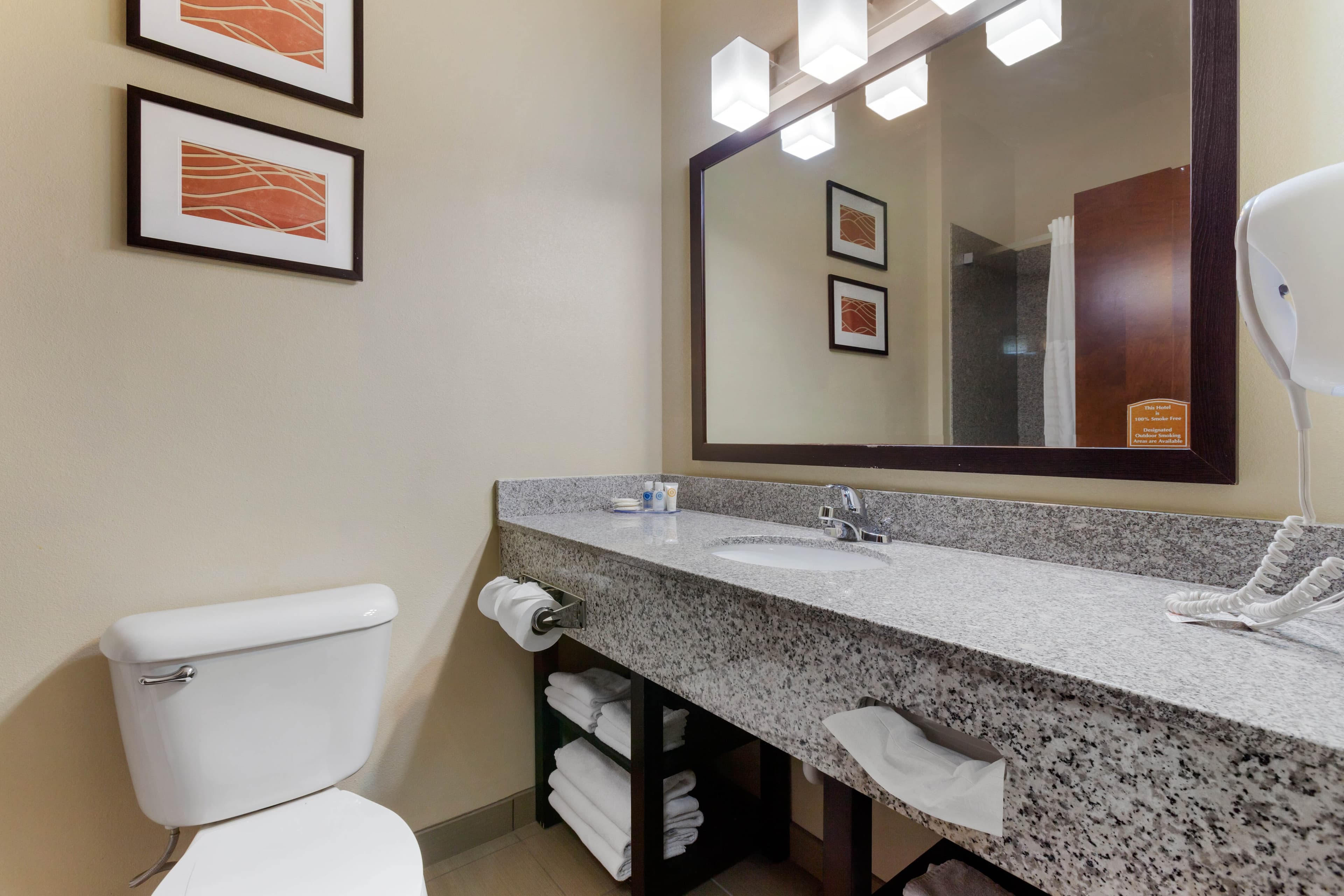 Comfort Inn & Suites Page at Lake Powell — 29