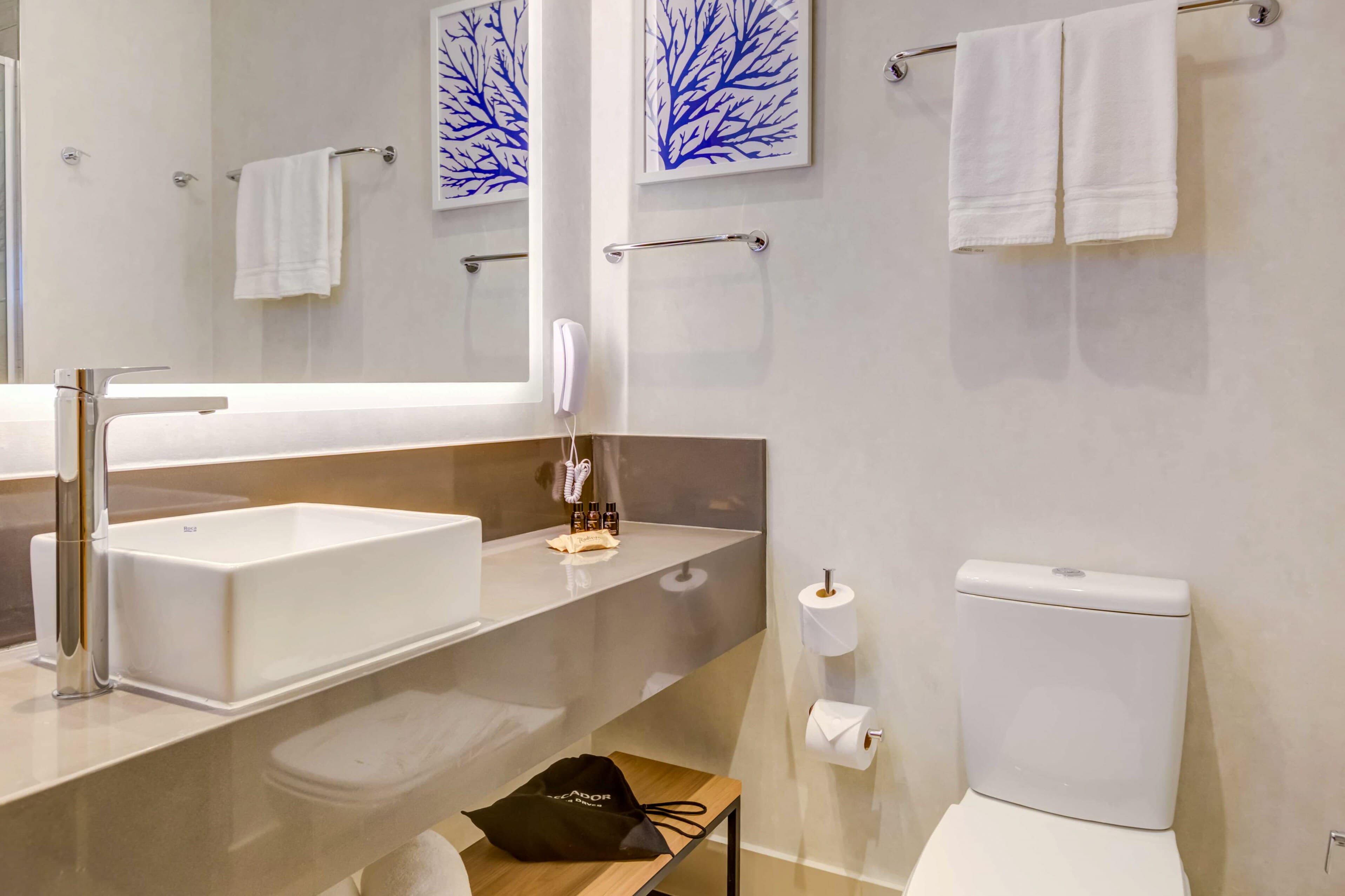 Radisson Hotel Pinheiros, Sao Paulo — 9