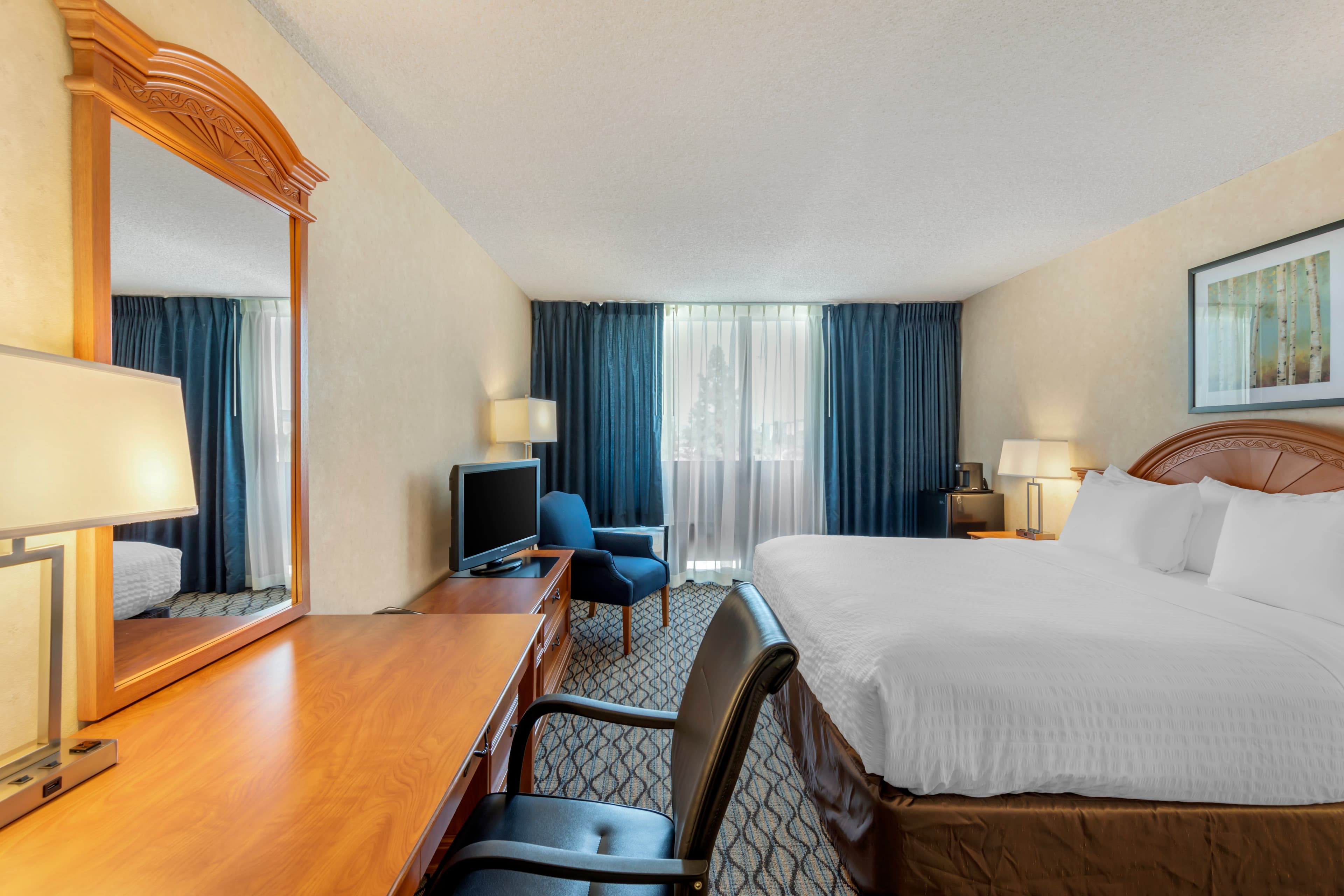 Clarion Hotel Anaheim Resort — 10
