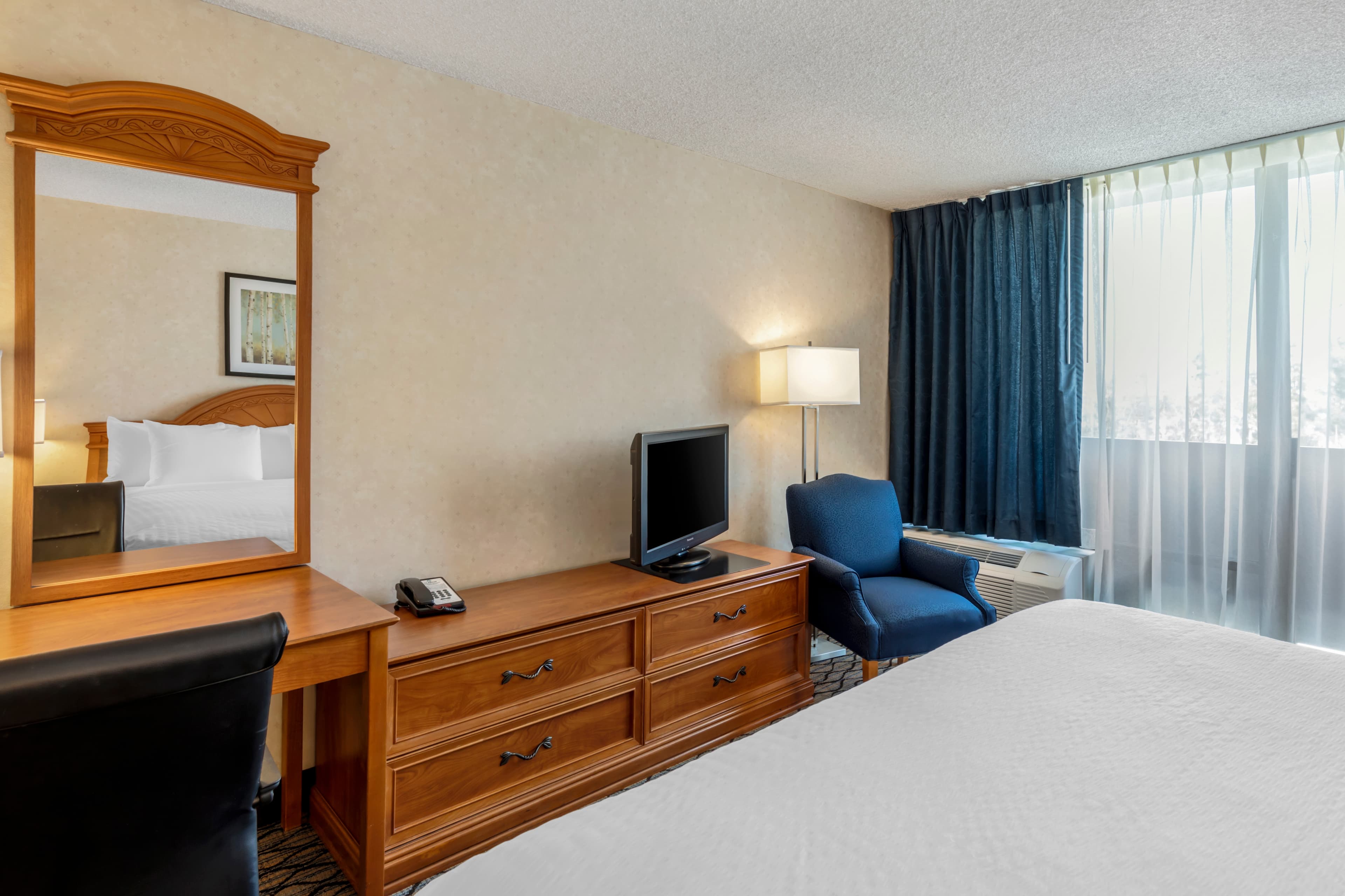Clarion Hotel Anaheim Resort — 11