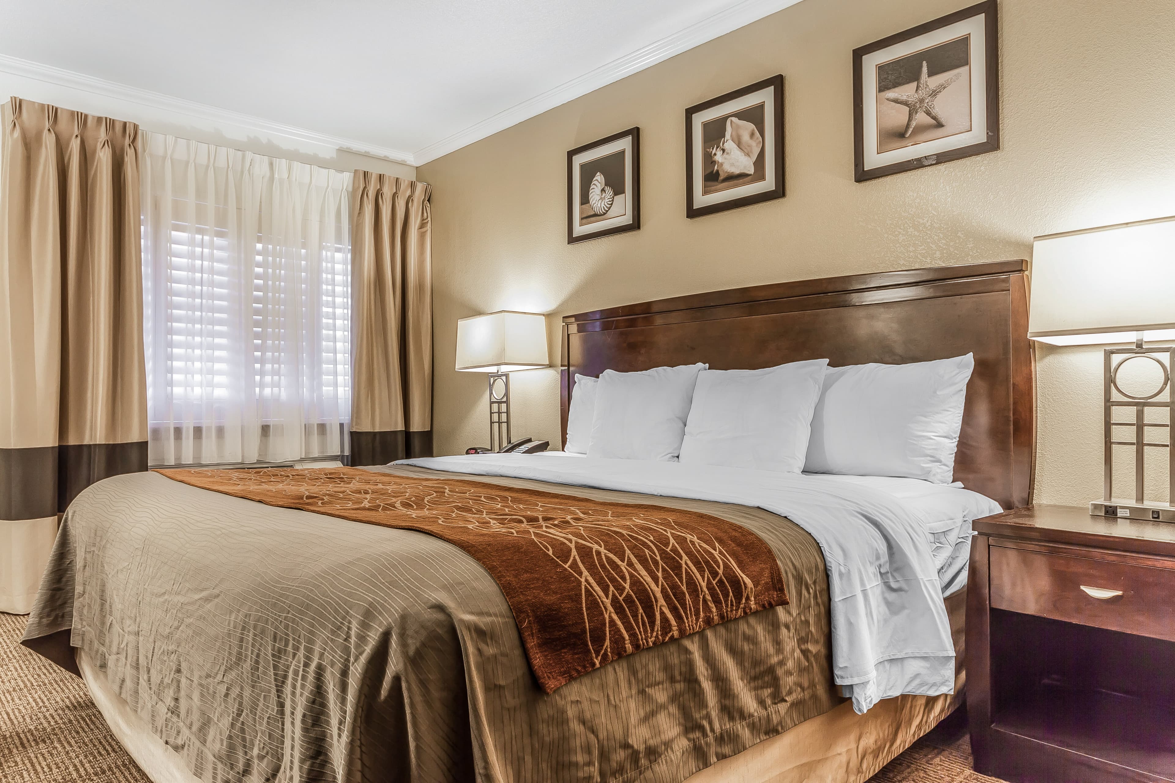 Comfort Inn Santa Cruz North — 10
