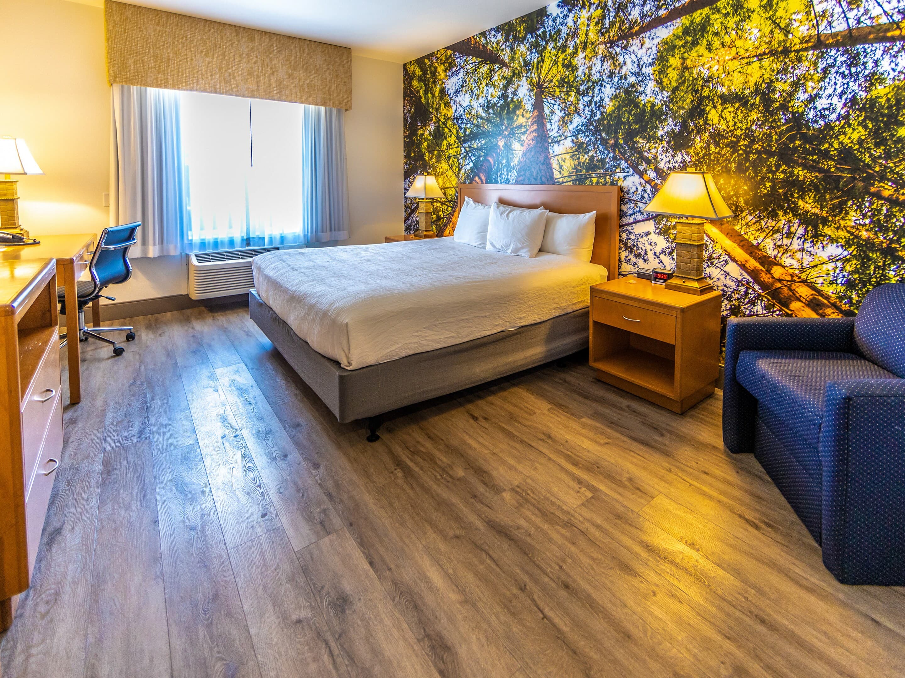 The Hanford Hotel, an Ascend Collection Hotel - Image 3