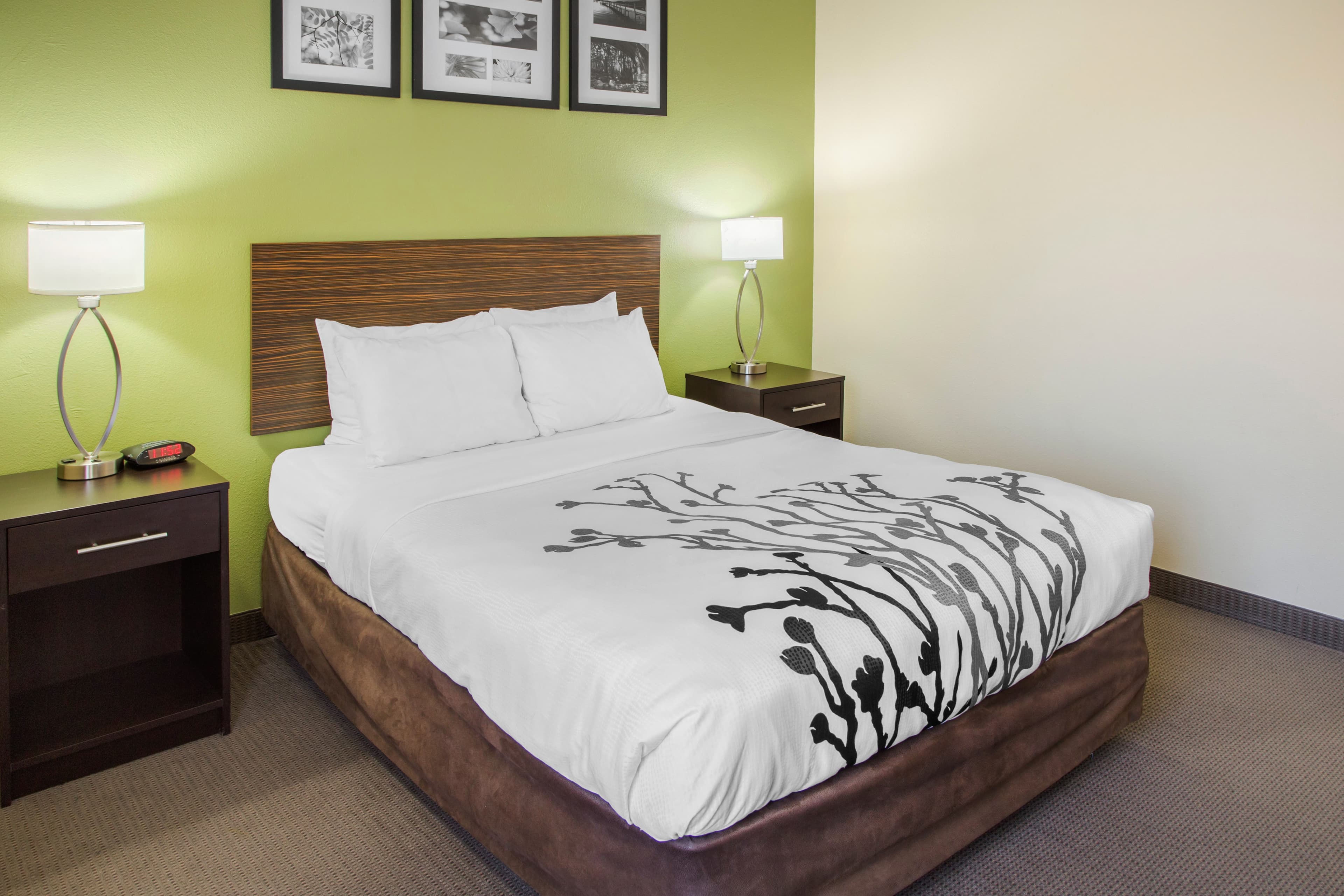 Sleep Inn & Suites Bakersfield North — 8