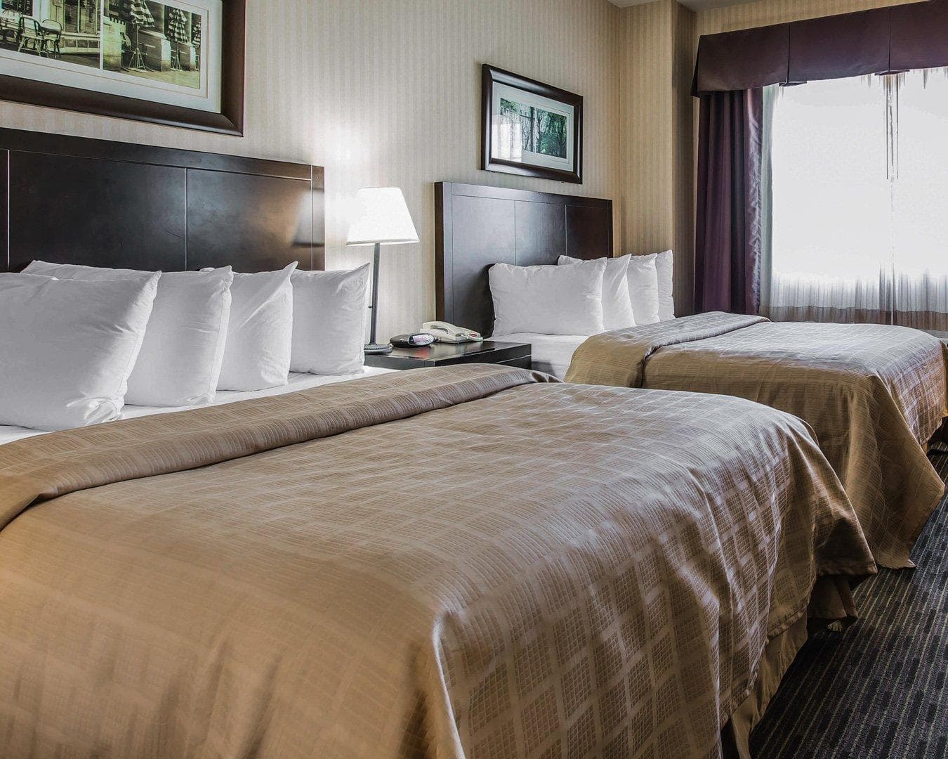 Quality Inn Rosemead-Los Angeles — 12