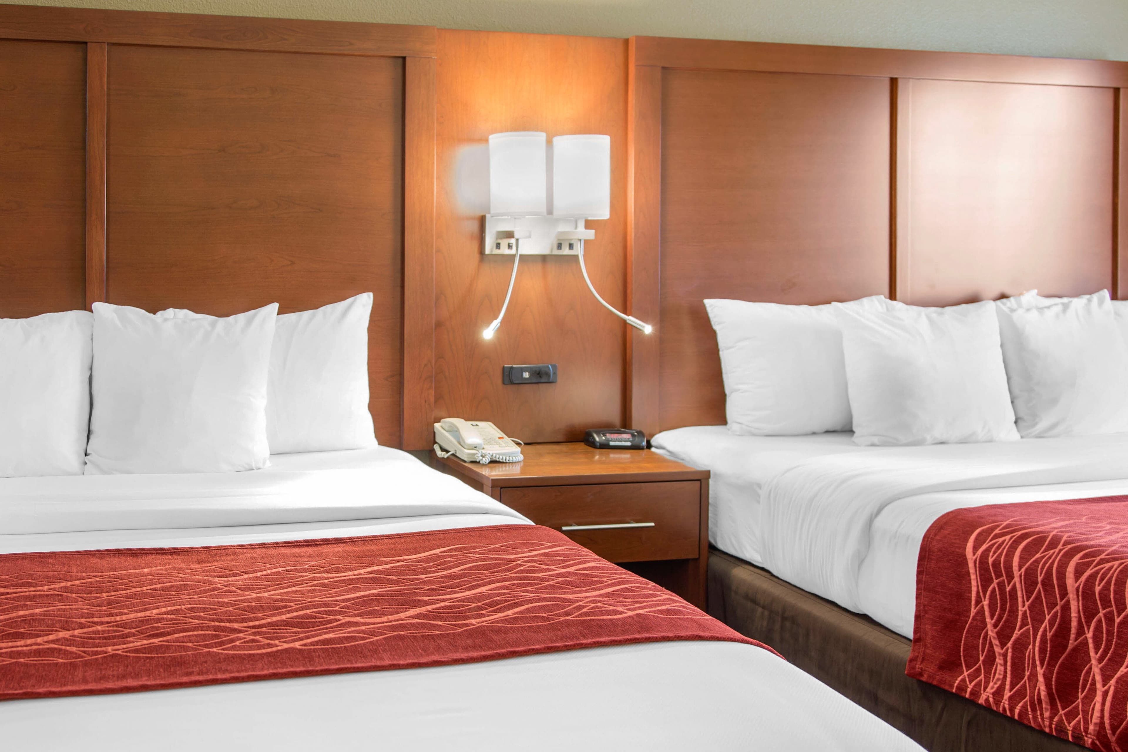 Comfort Inn & Suites San Francisco Airport North - Image 5