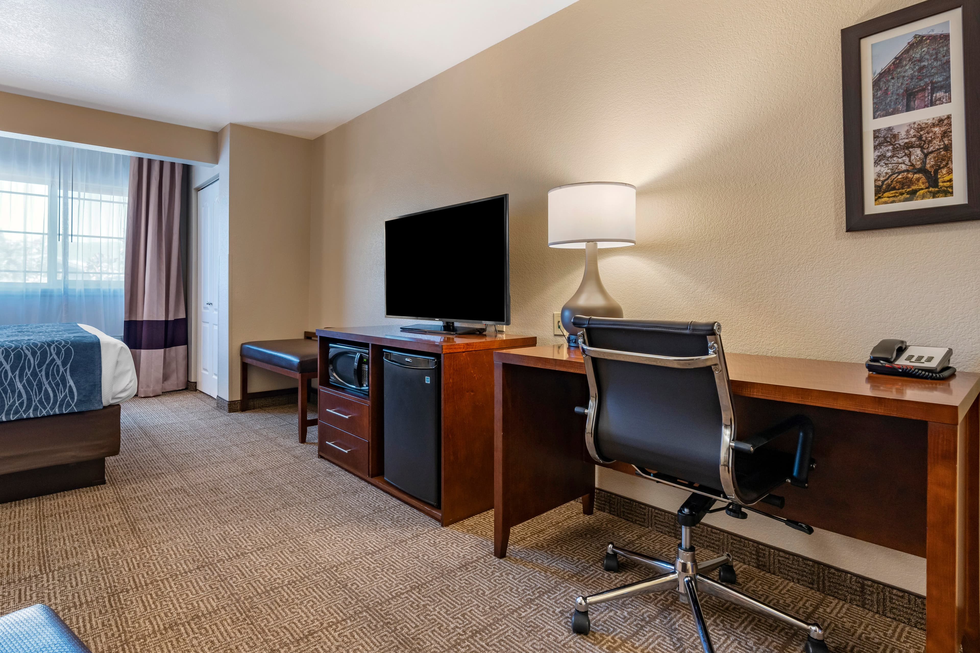 Comfort Inn & Suites Ukiah Mendocino County — 14