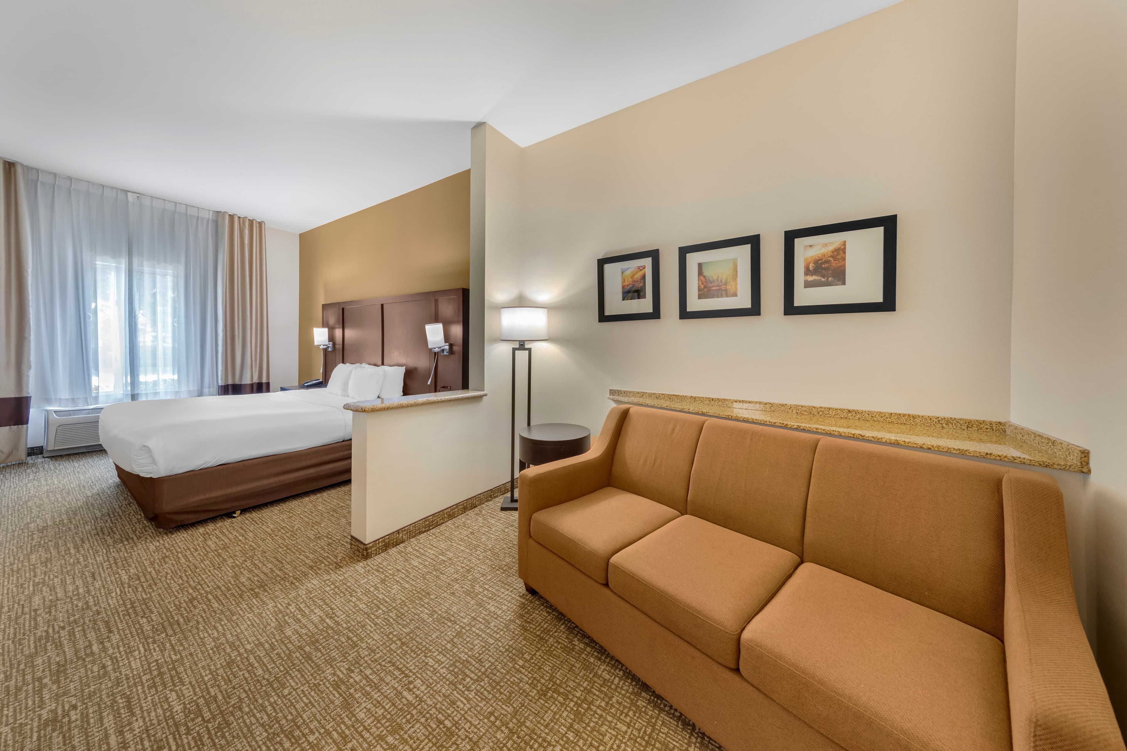 Comfort Suites Ontario Airport Convention Center - Image 3
