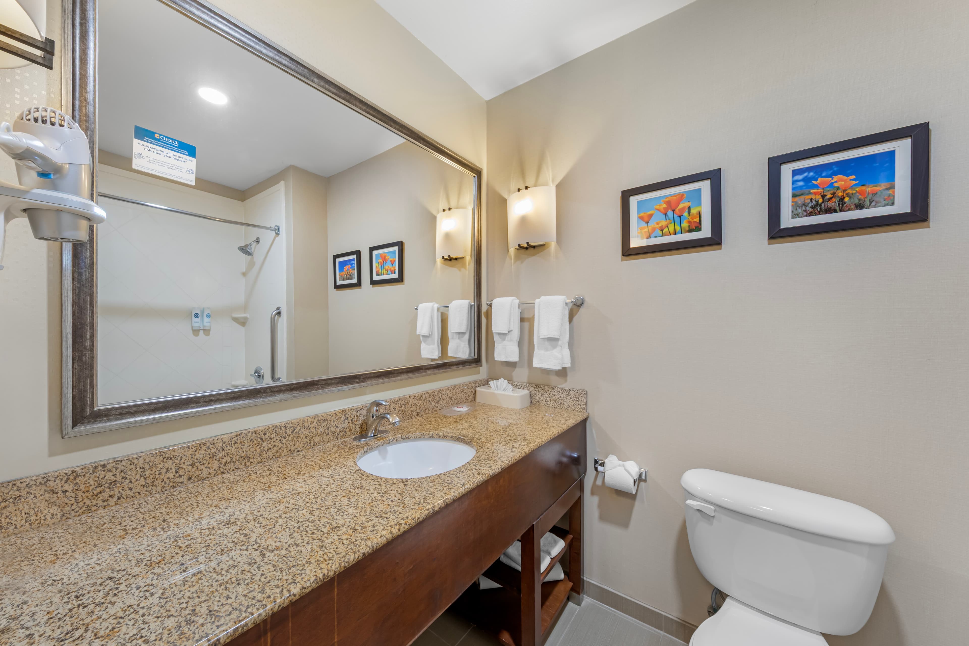 Comfort Suites Ontario Airport Convention Center — 21